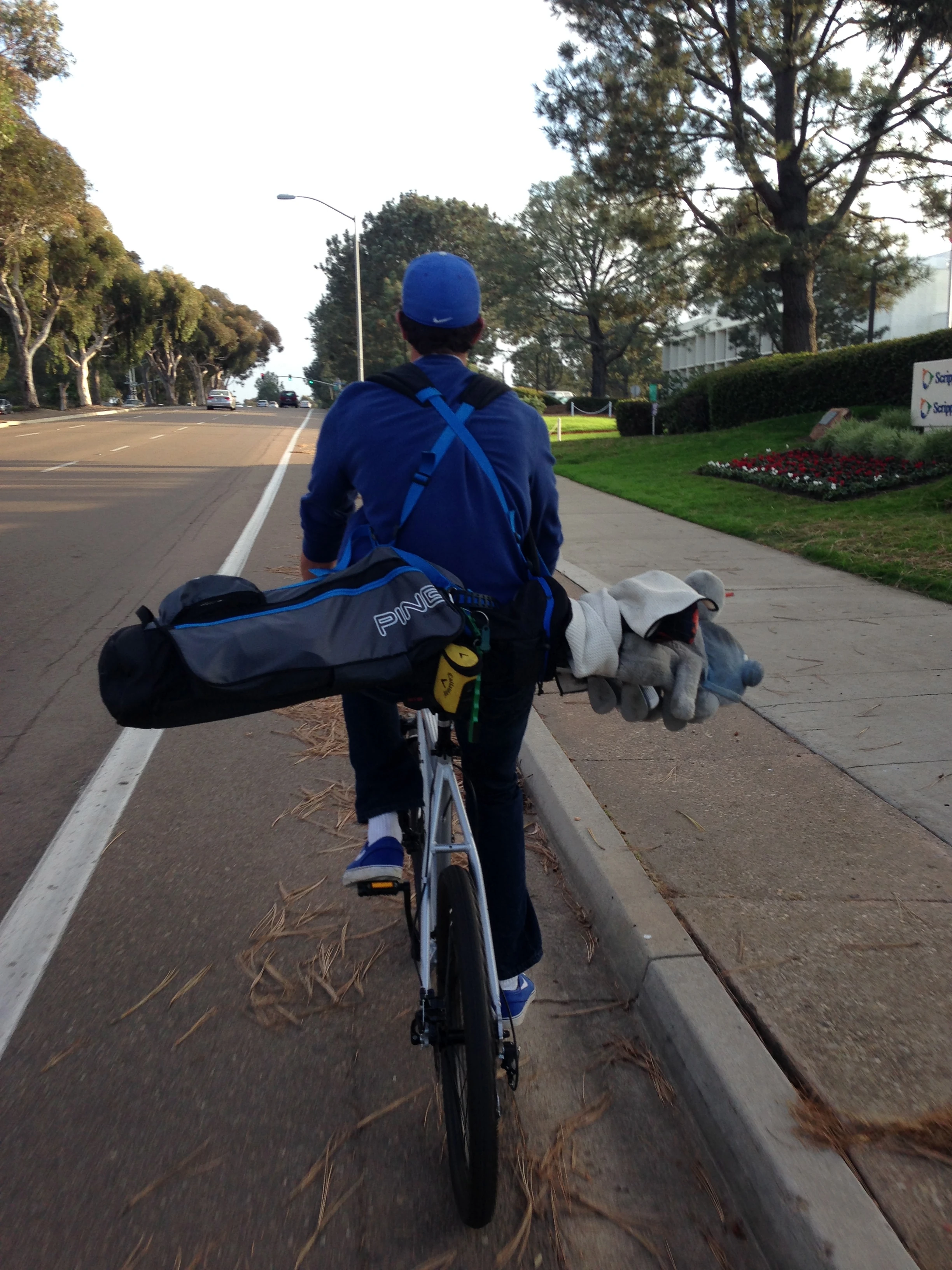 I saw this guy riding on the tope of Torrey Pines by the golf course.