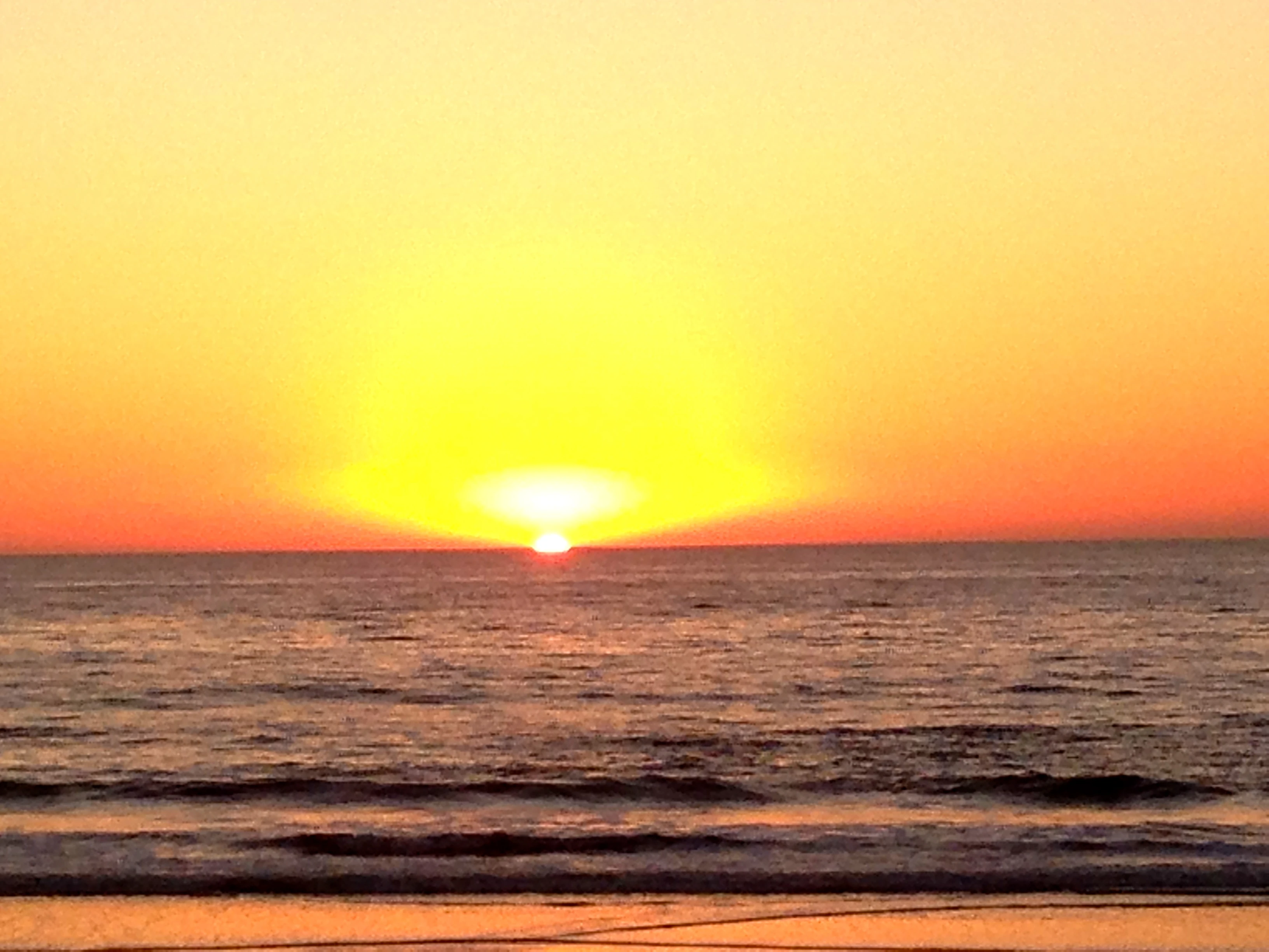 The sunset yesterday was pretty spectacular.