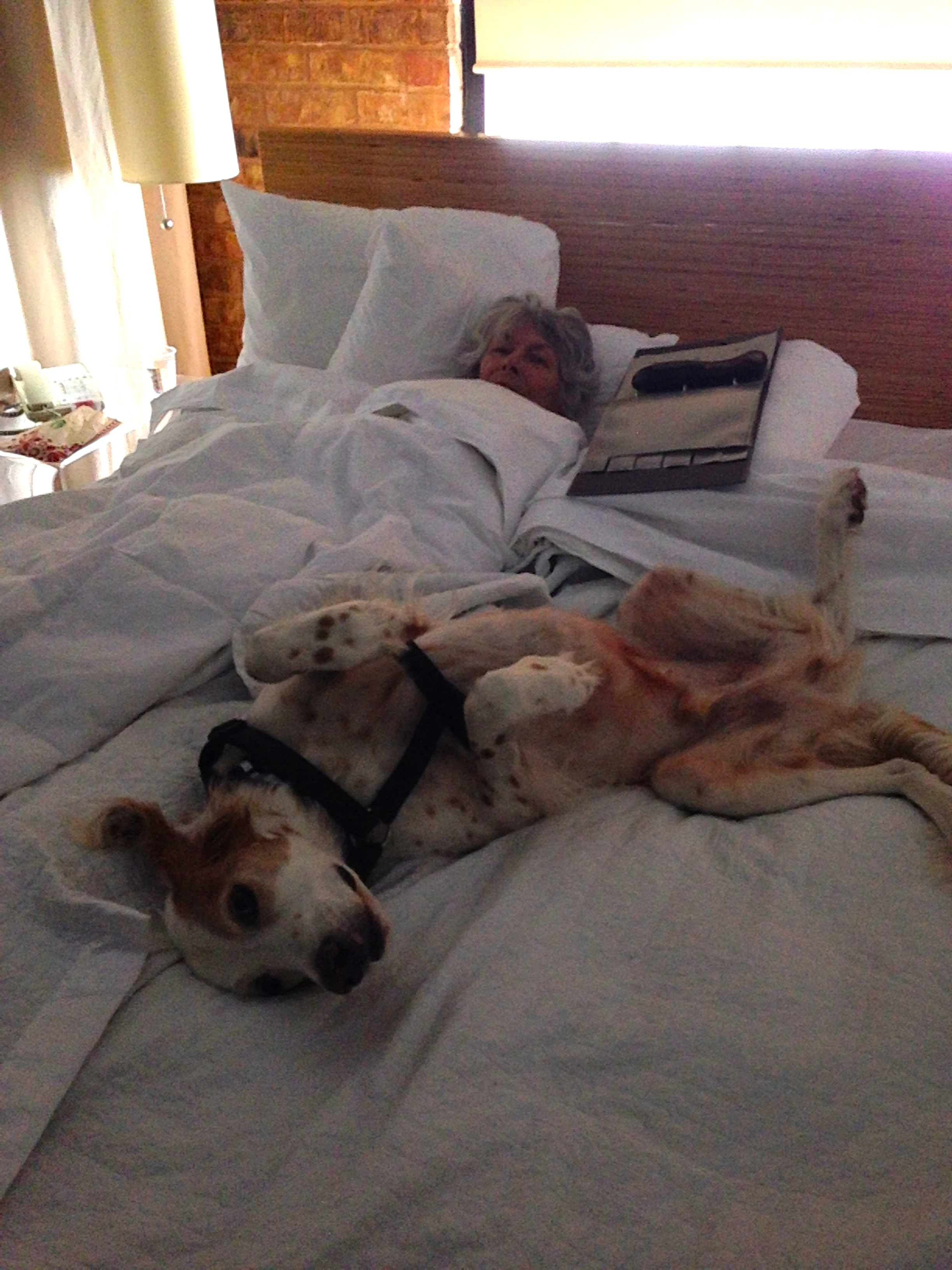 Bromont keeping Sue&rsquo;s mom company during the ice storm. 