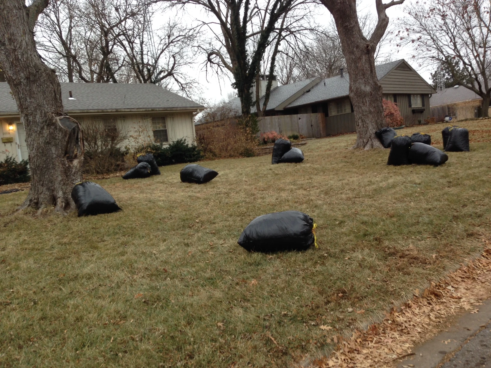 I have this pet pieve about bagging up leaves to send to the landfill. What a waste.