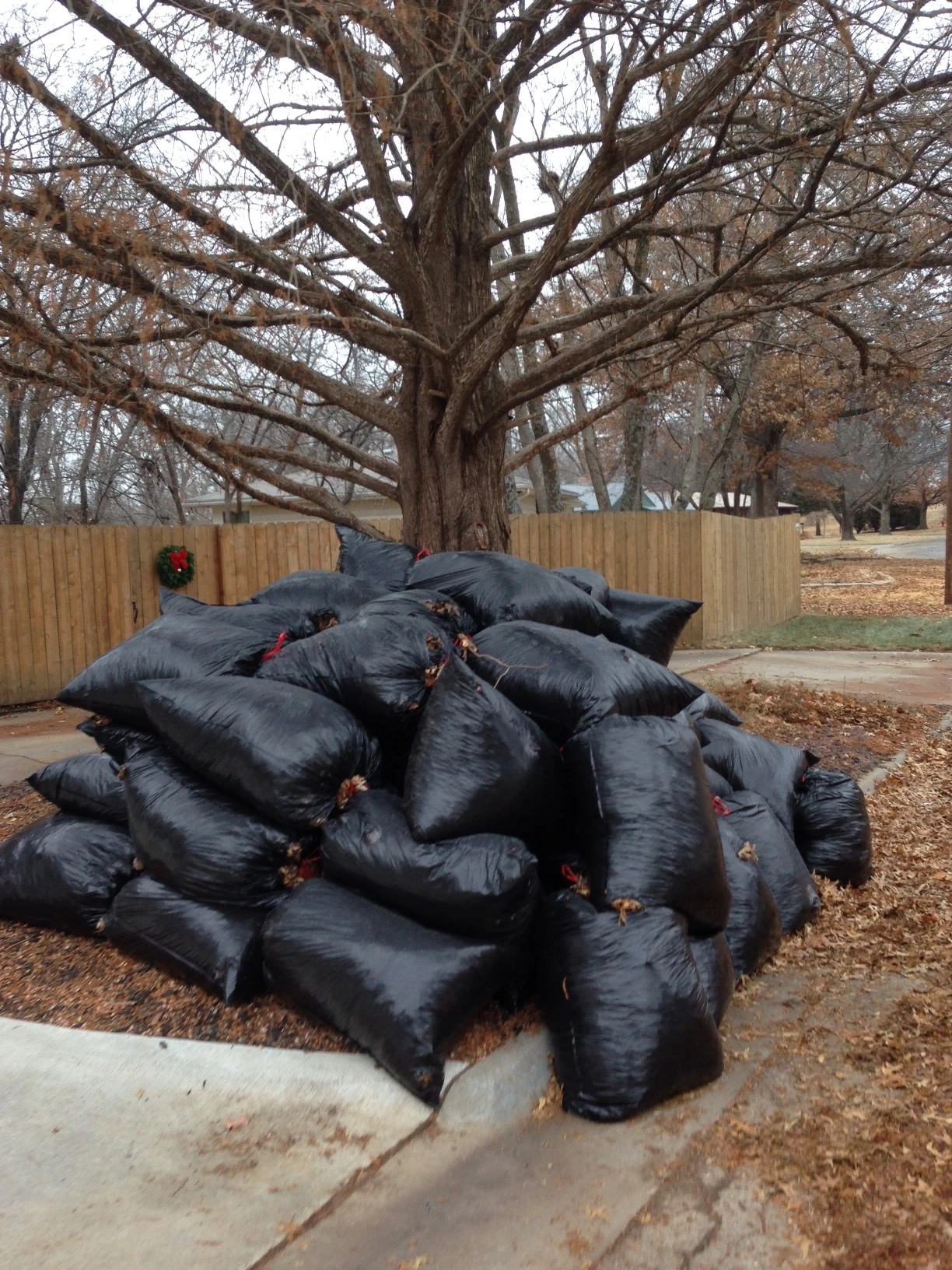 Half the drives in my neighborhood look like this in the fall. The weird thing is that they aren&rsquo;t even going to pick them up for three weeks because of the holiday trash service schedule. They don&rsquo;t do yard waste at this time.