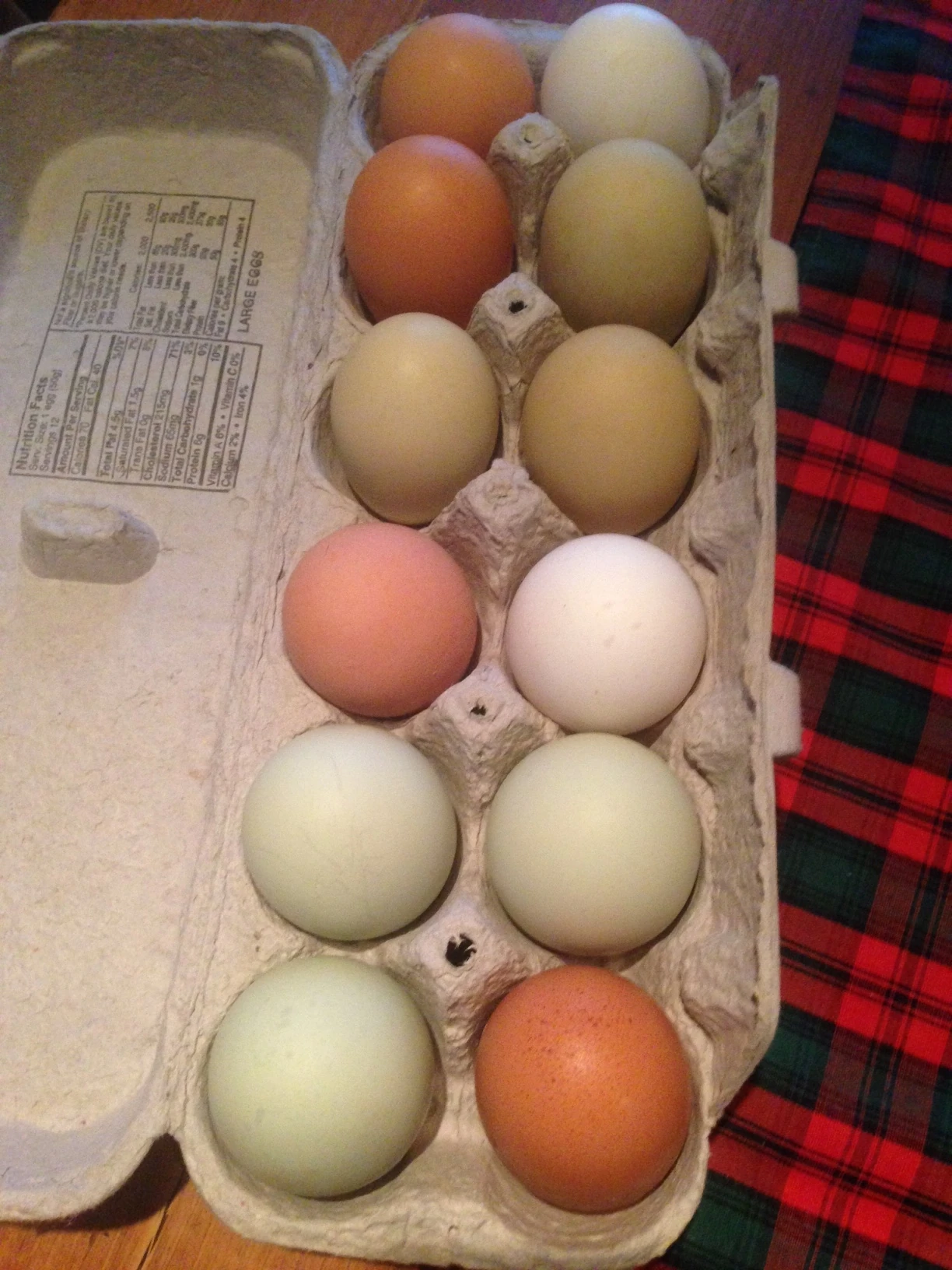 We ran out of eggs, so Dennis called our friend George, who just lives through the woods, and he brought over 2 dozen eggs his chickens laid.