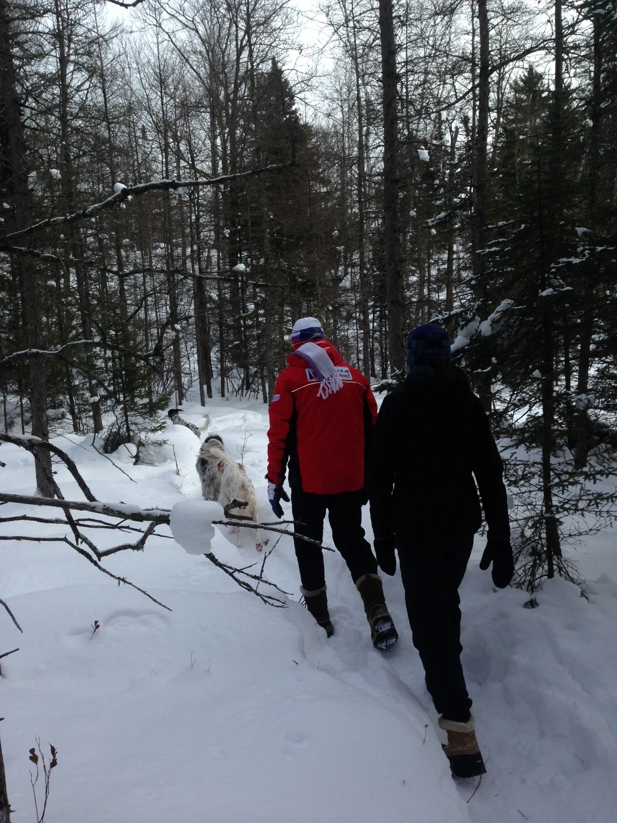 The trails are so frozen hard that you don&rsquo;t even need to use snowshoes where we&rsquo;ve been before.