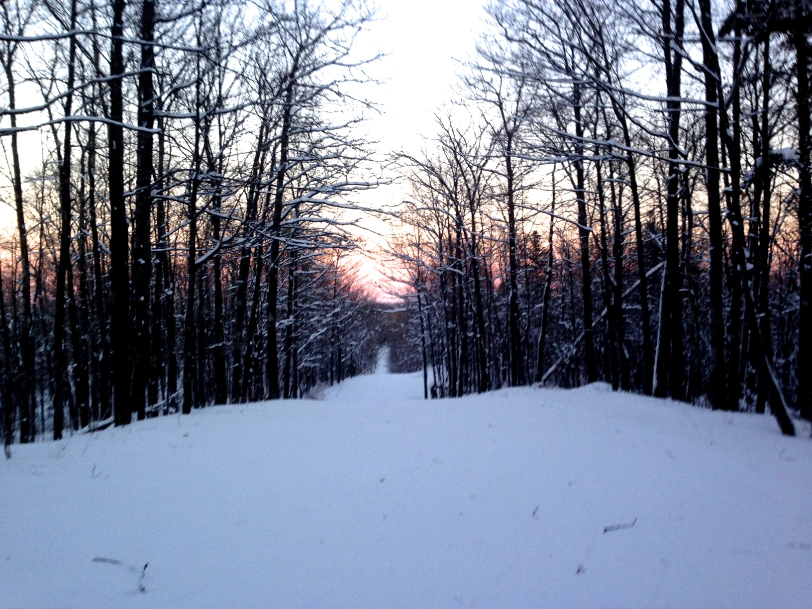Looking North, down the trail from the high point.