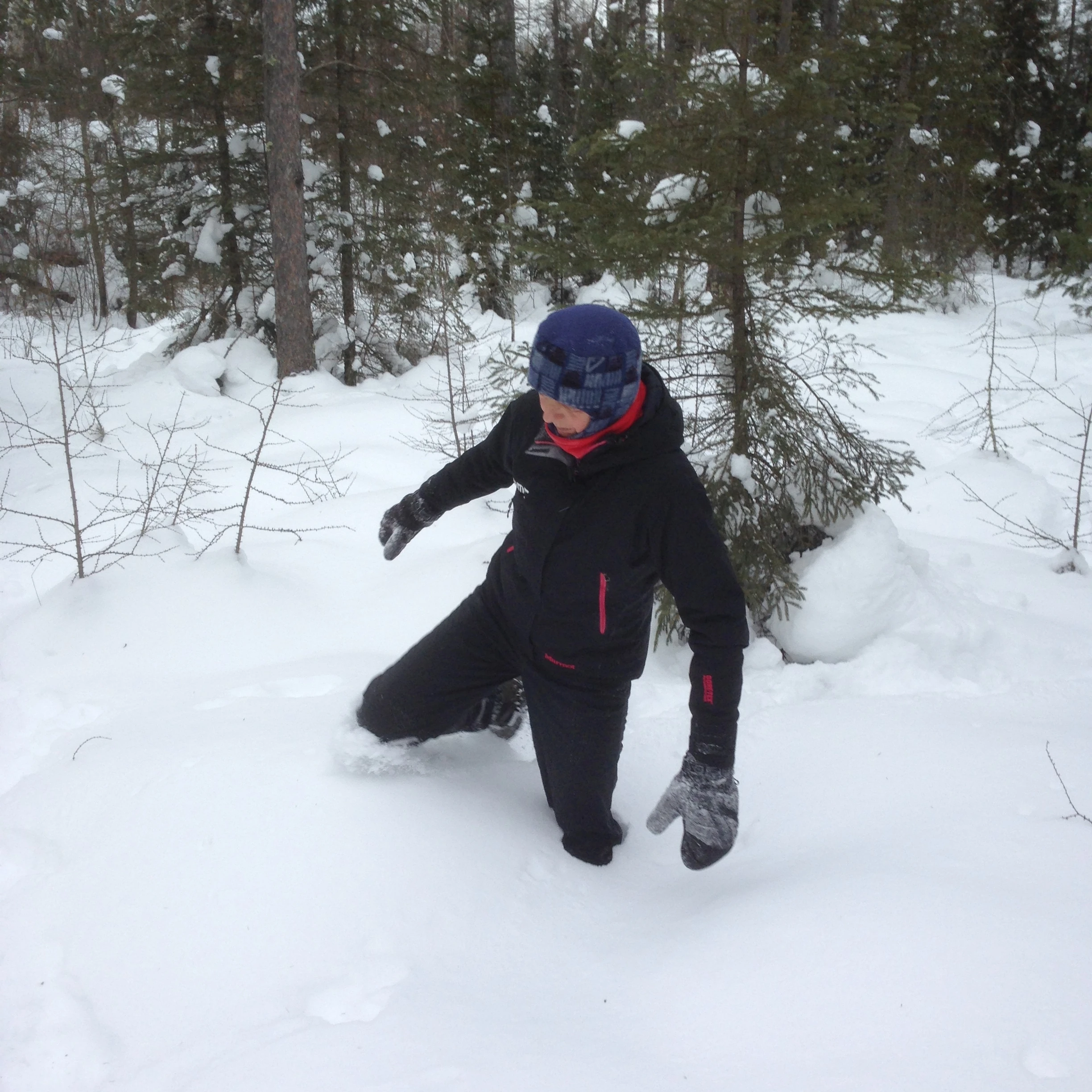 Trudi getting a little exercise, trail blazing, before she left. 