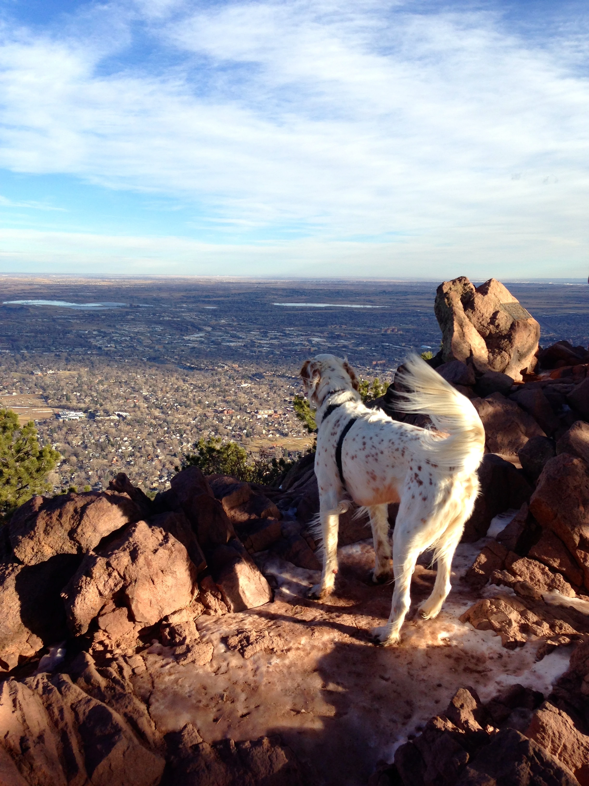 He liked the view from the top.