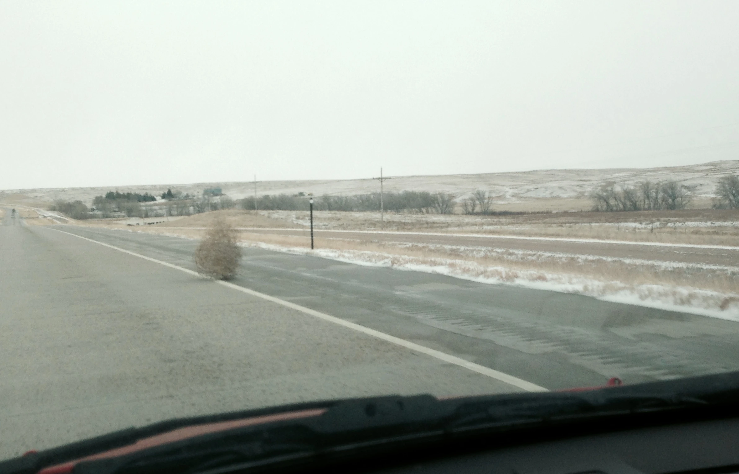 I was bombarded with tumbleweeds in Eastern Colorado. This was a small one.