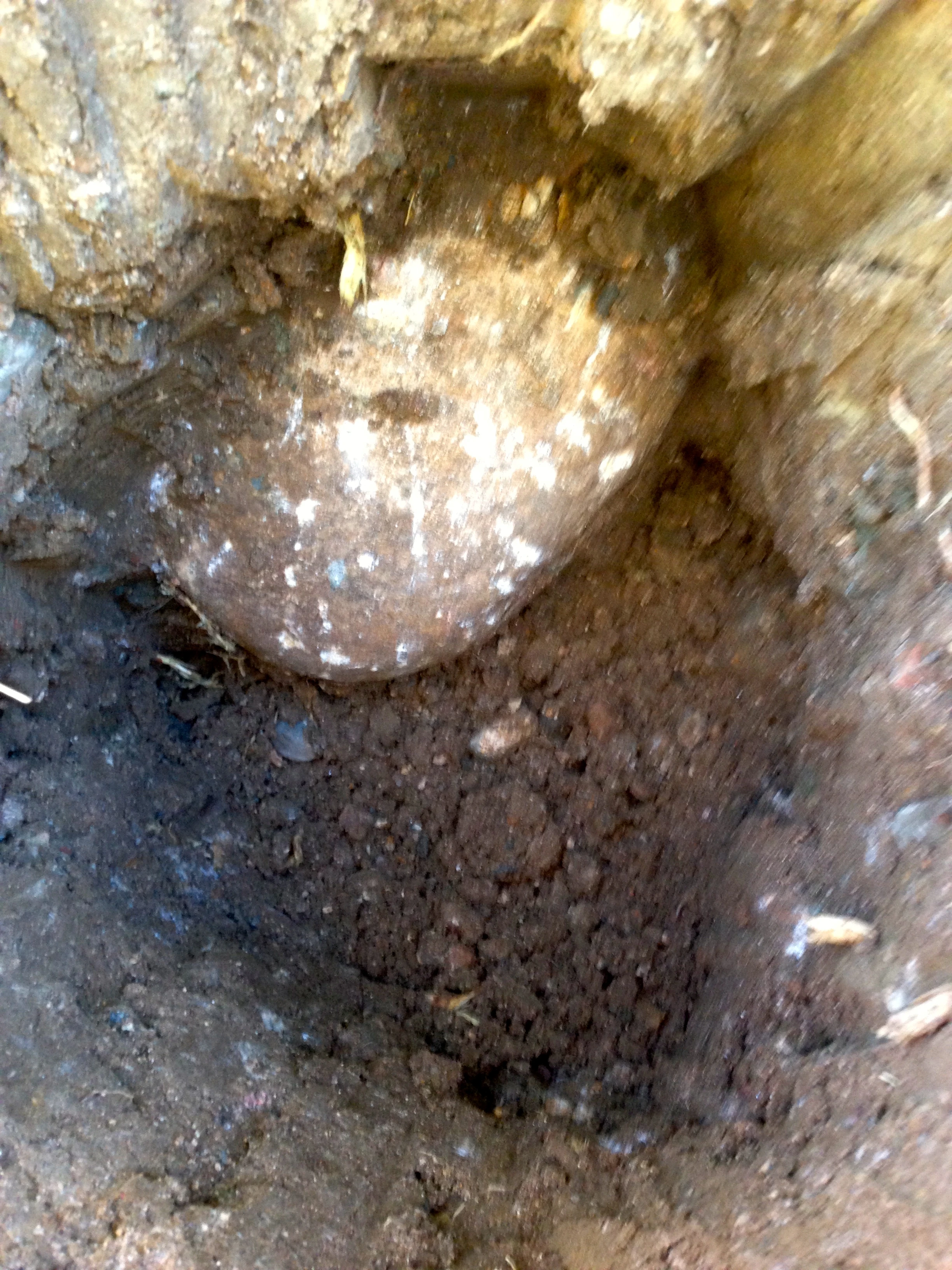 This is pretty much normal. On most of my hole, I&rsquo;d run into at least one of these and 5-10 grapefruit size rocks. It is tedious.