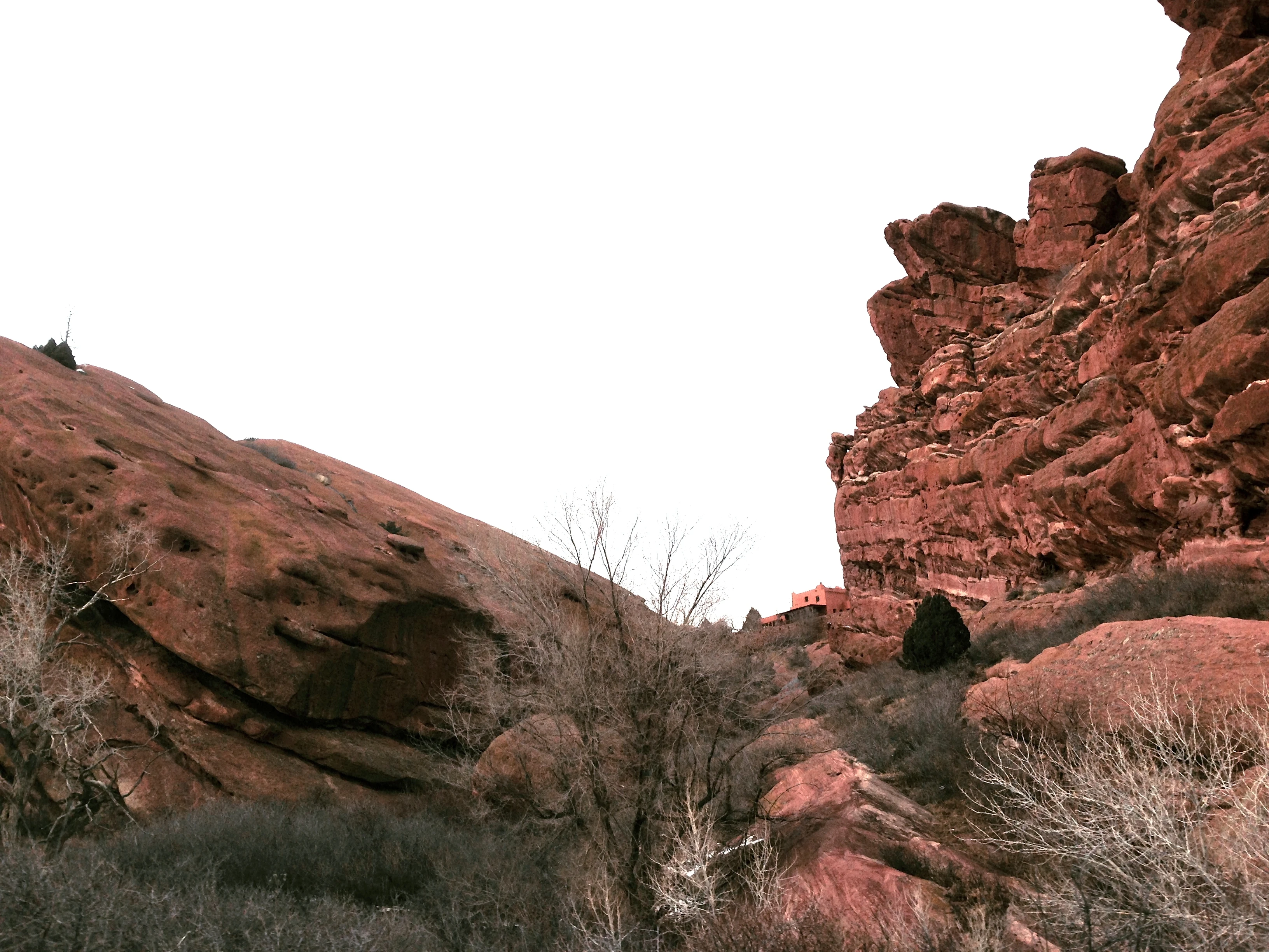 I climbed these guys when I was a kid.