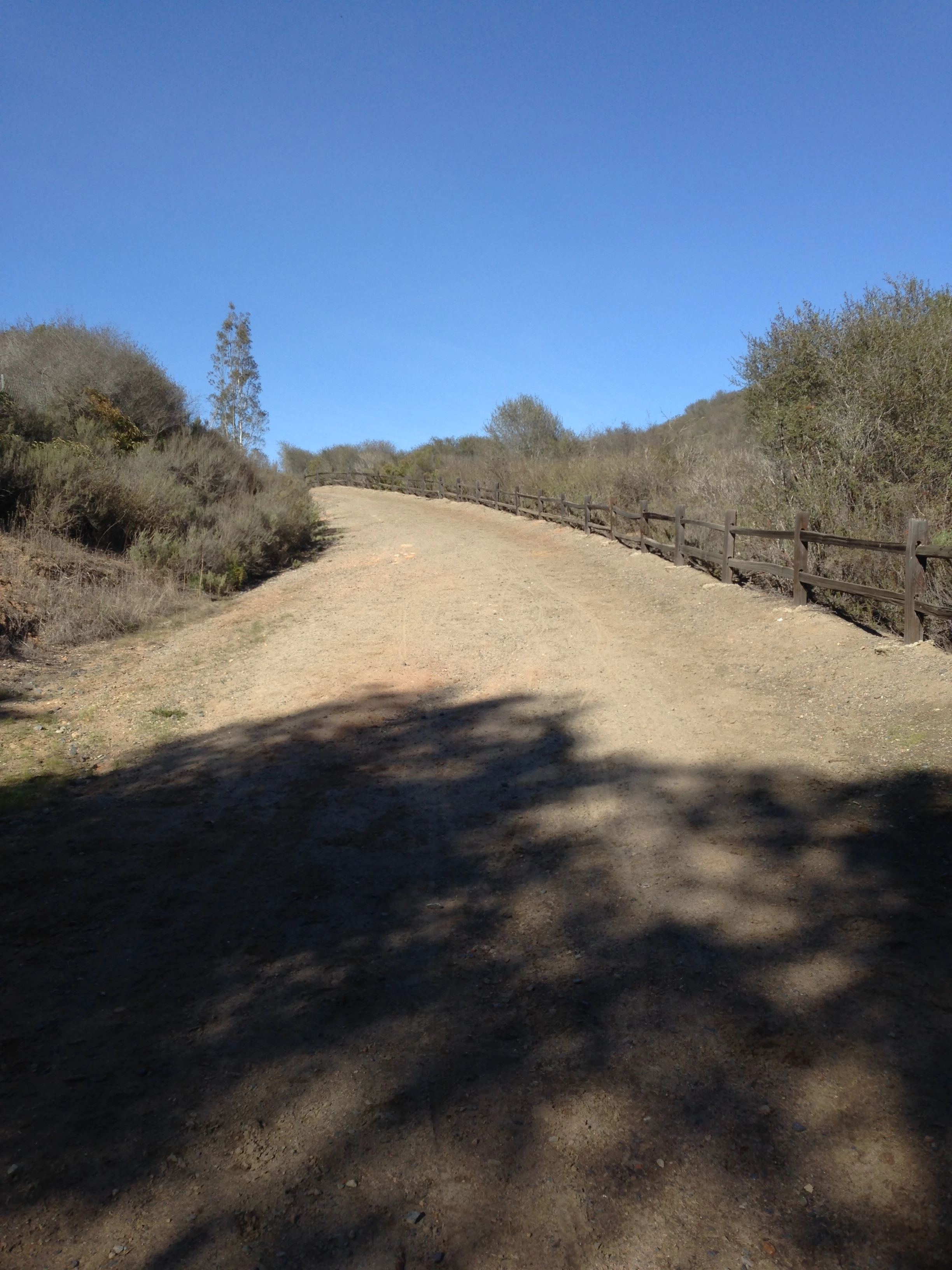 I rode back through the Eflin Forest and did a little dirt action up Questhaven.
