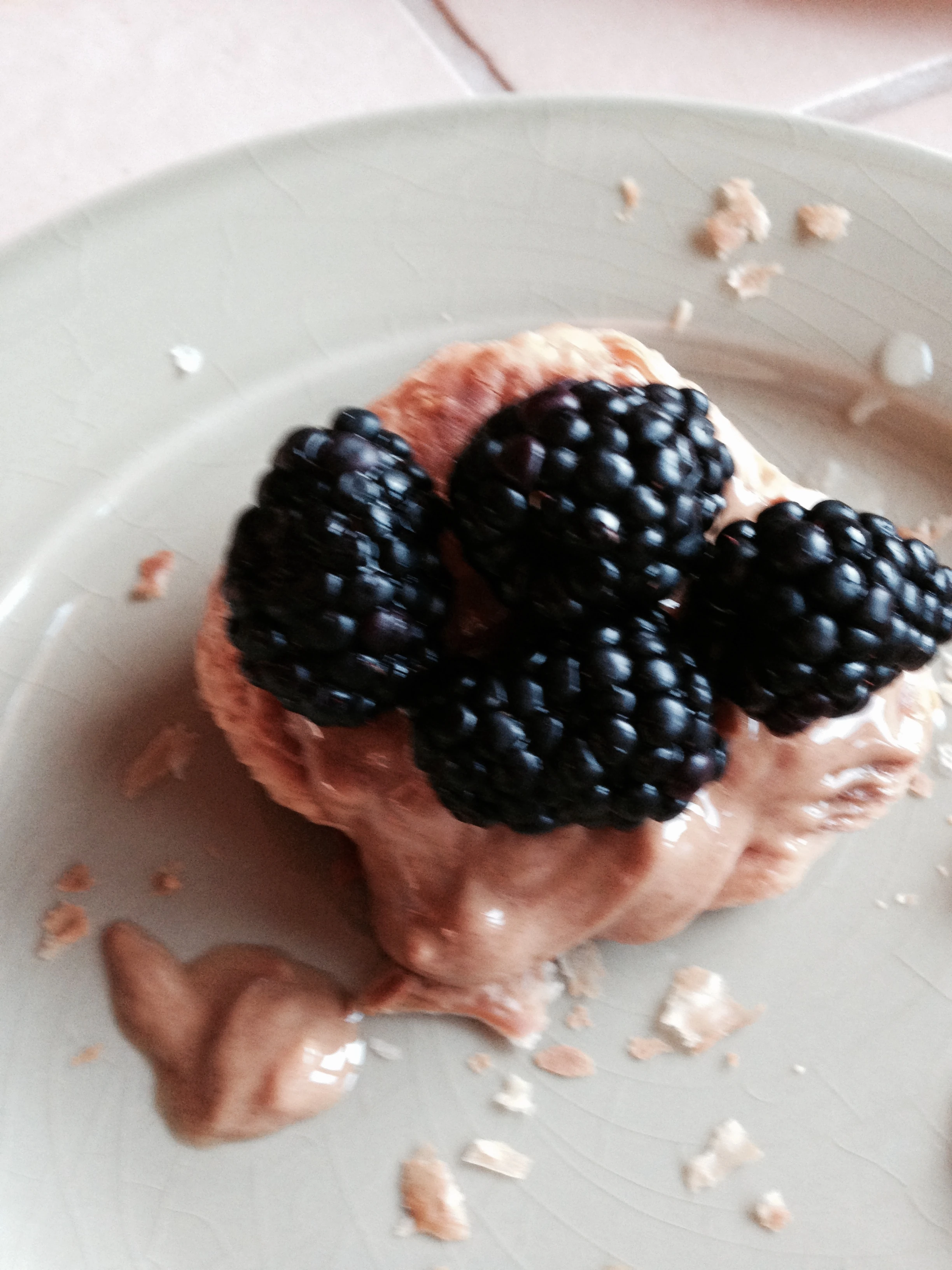 I was pretty much starving when I got back. I had two of these-croissants covered with peanut butter and blackberries. They hit the spot.