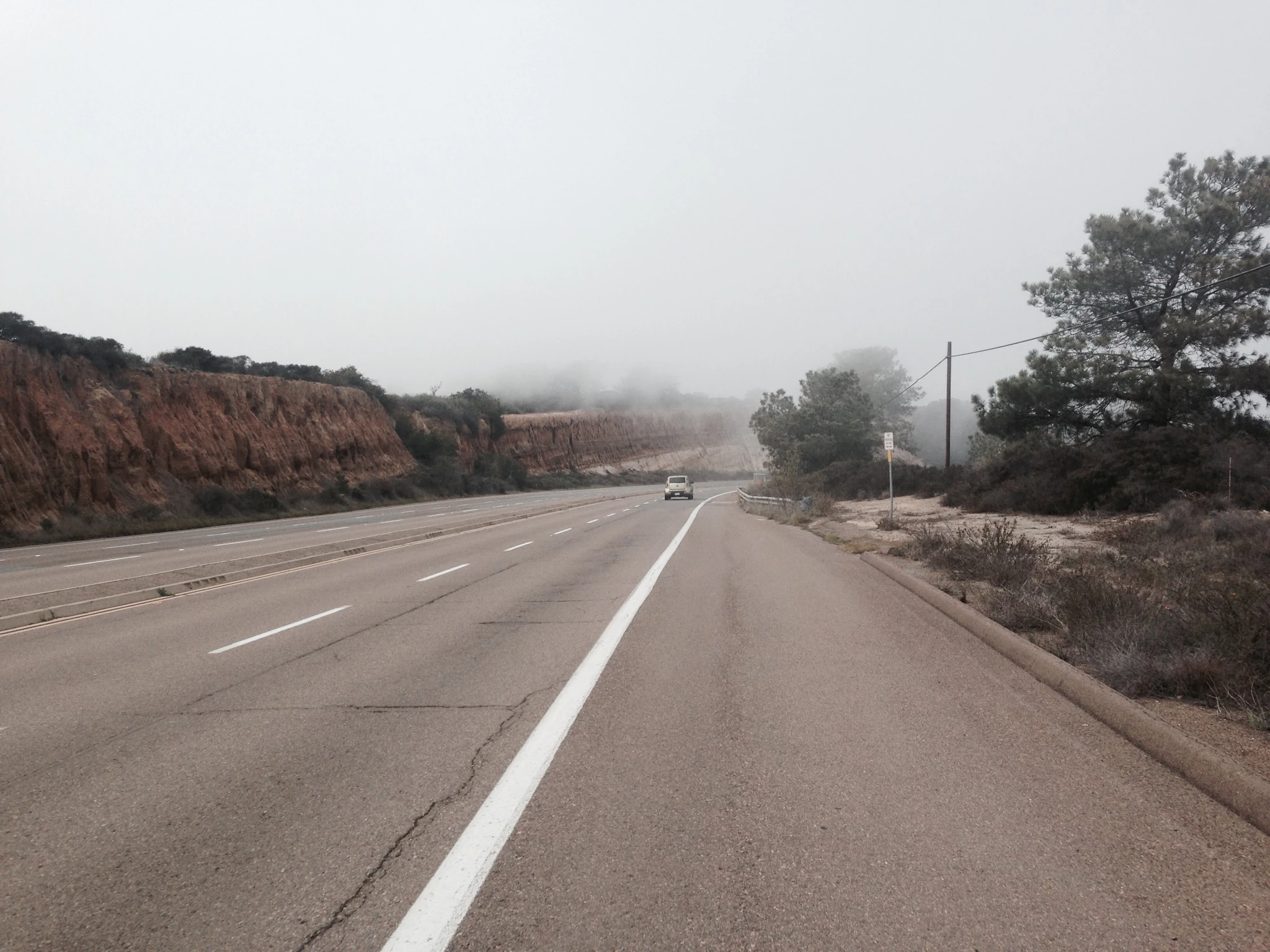 Descending down Torrey Pines into the fog yesterday