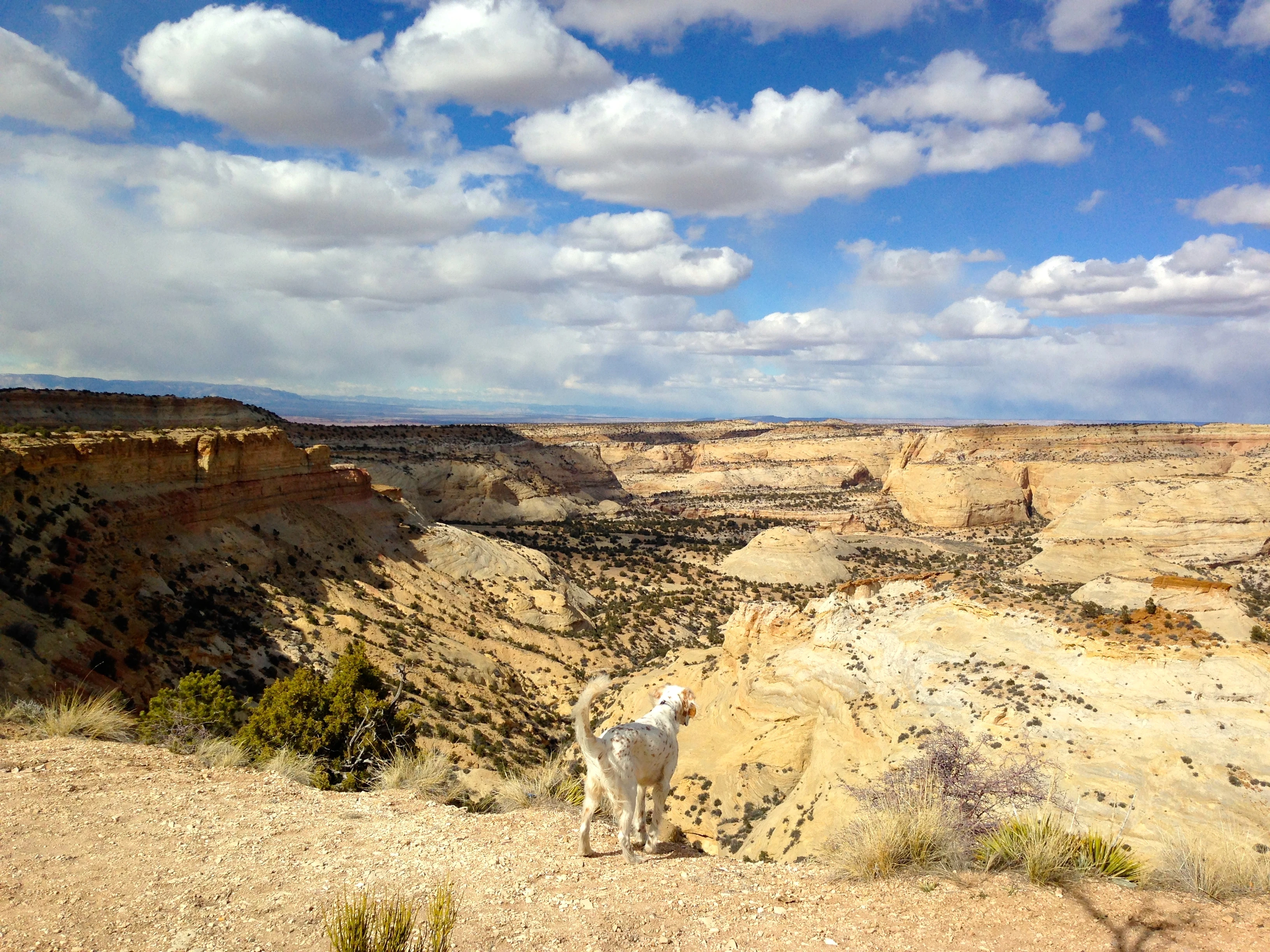 Bromont couldn&rsquo;t believe how big the canyons are.