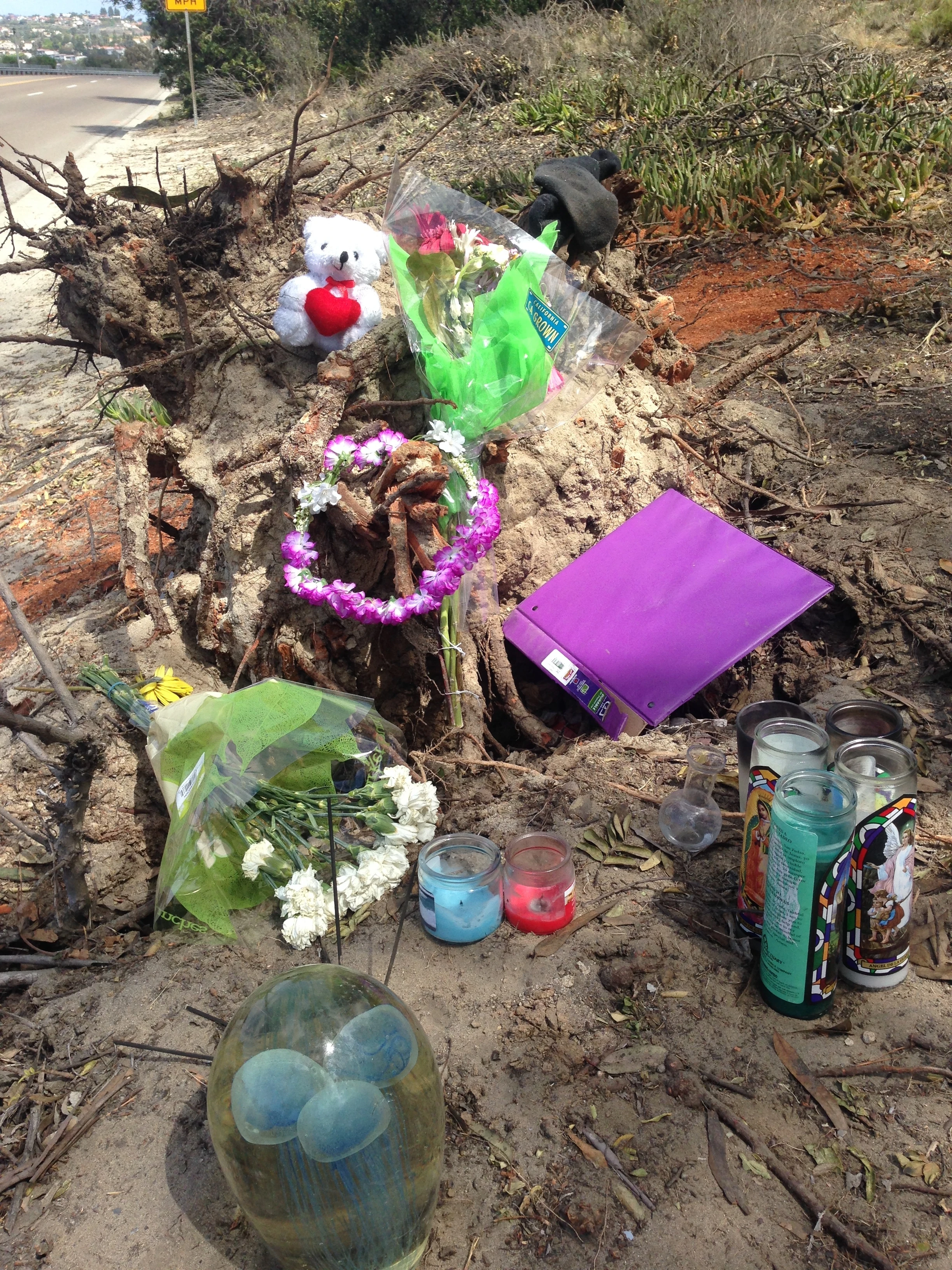 I saw this cool shrine on La Costa Blvd. last weekend. I like to stop on look at these. The glass thing, with the jellyfish look, seems pretty expensive. There is a pair of socks on the top right, plus the teddy bear. I wonder who this is for?