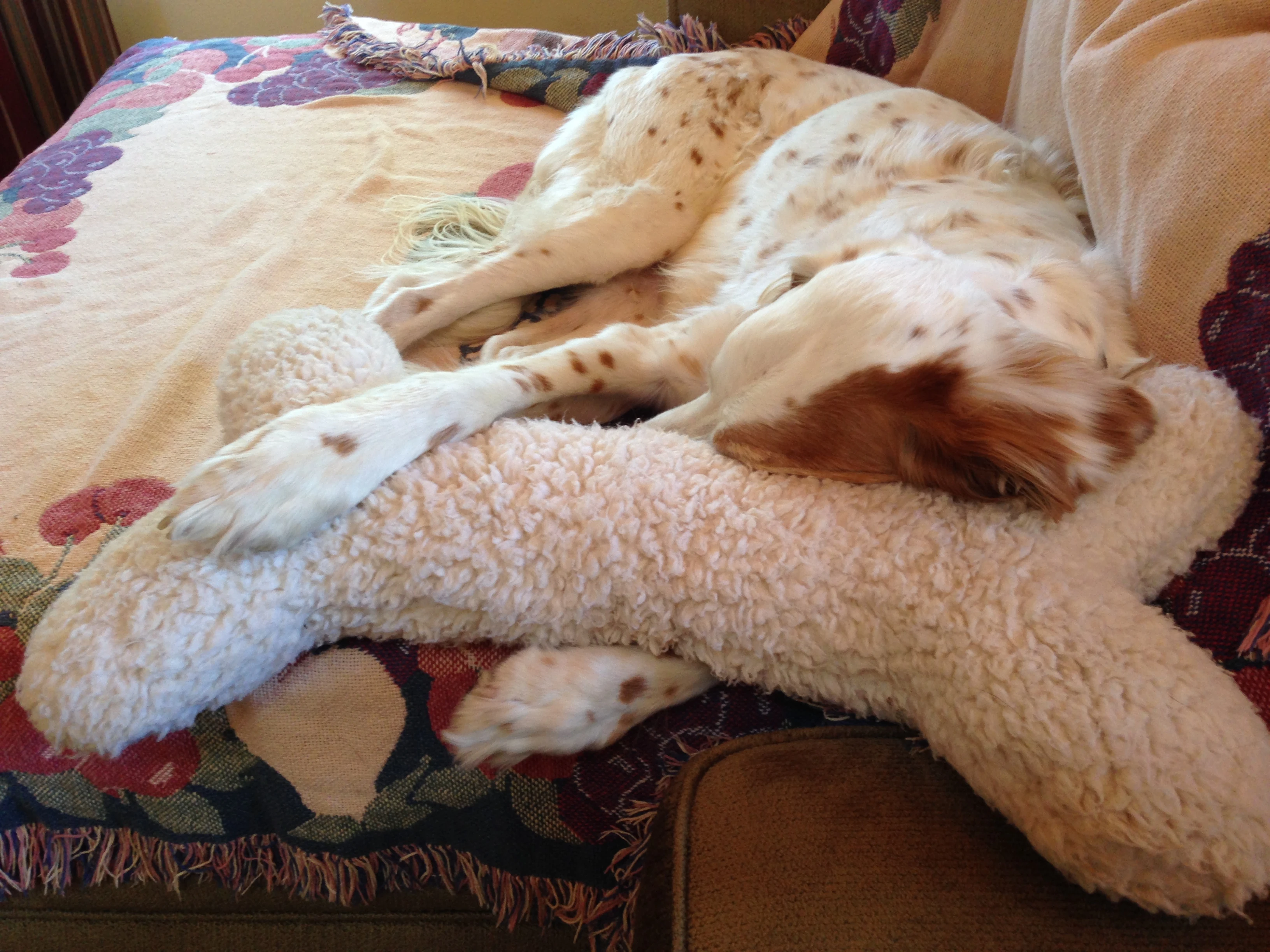 Bromont was pooped last night.