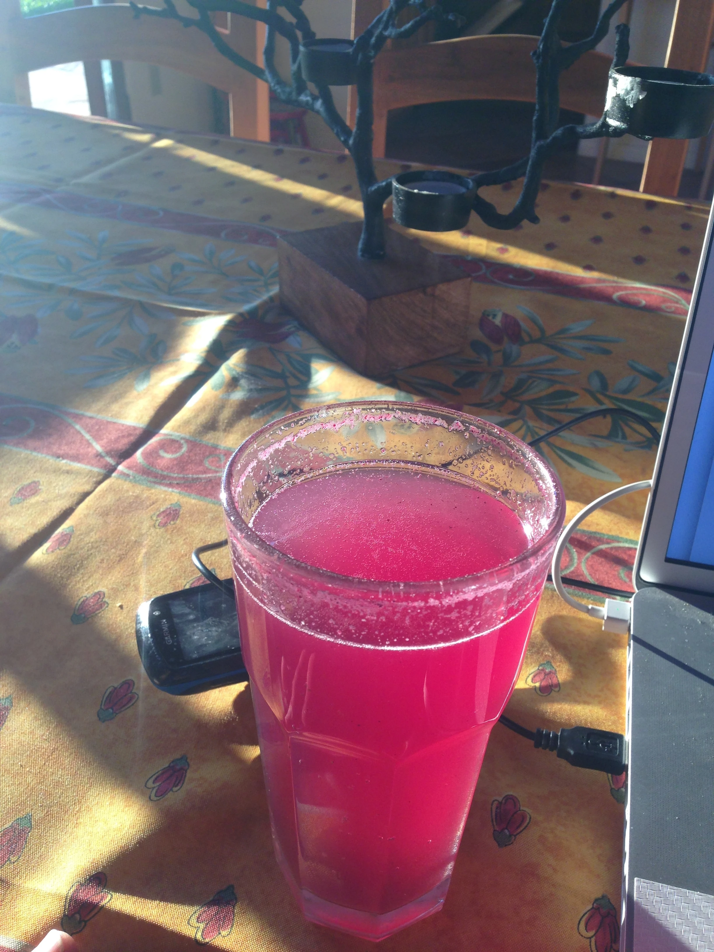 I&rsquo;ve been drinking a large glass of San Pellegino with Emergen-C in it after riding. Sue calls it &ldquo;nectar of rejuvenation&rdquo;. 