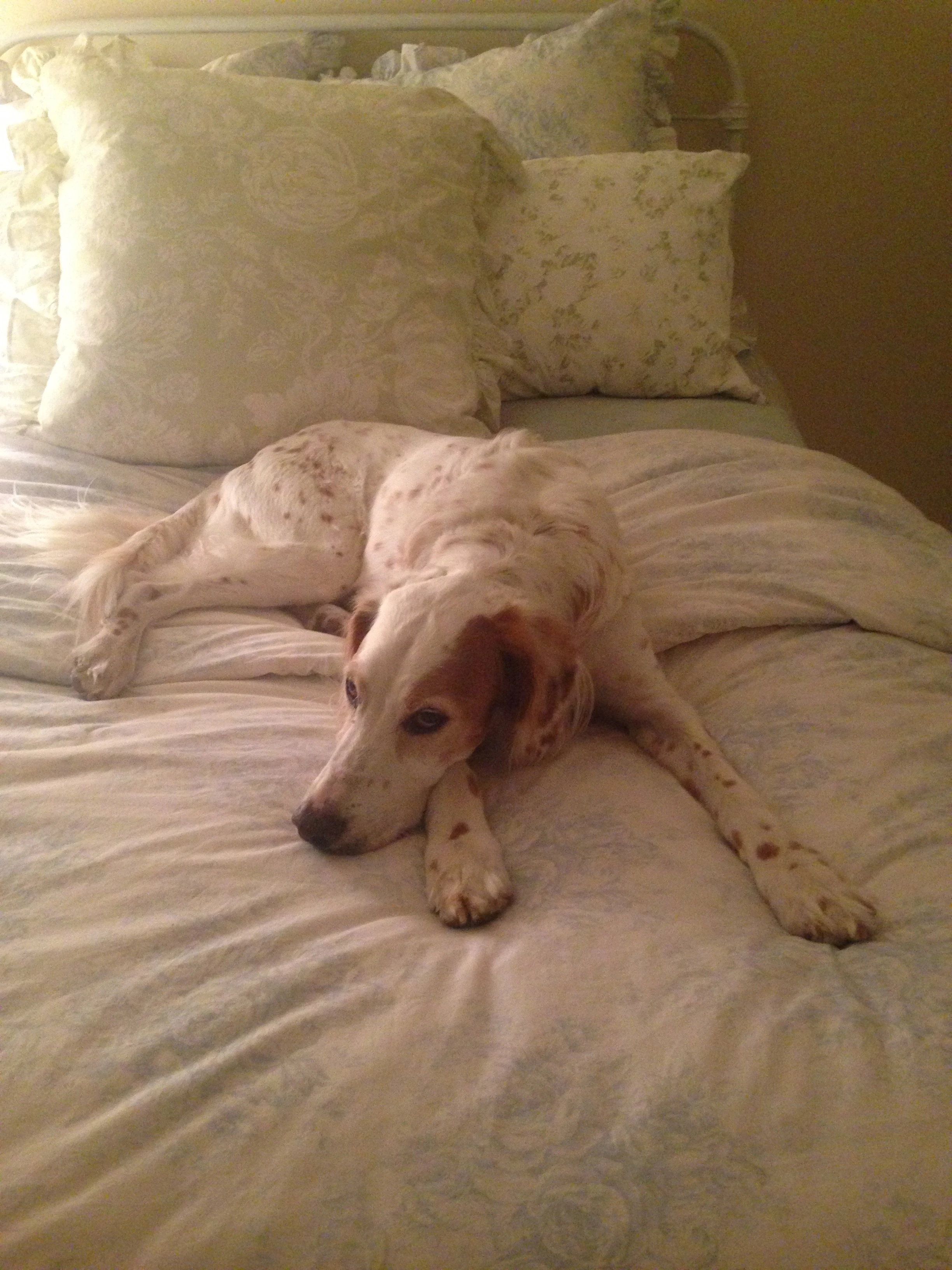 Finally at Ann’s house in Austin.