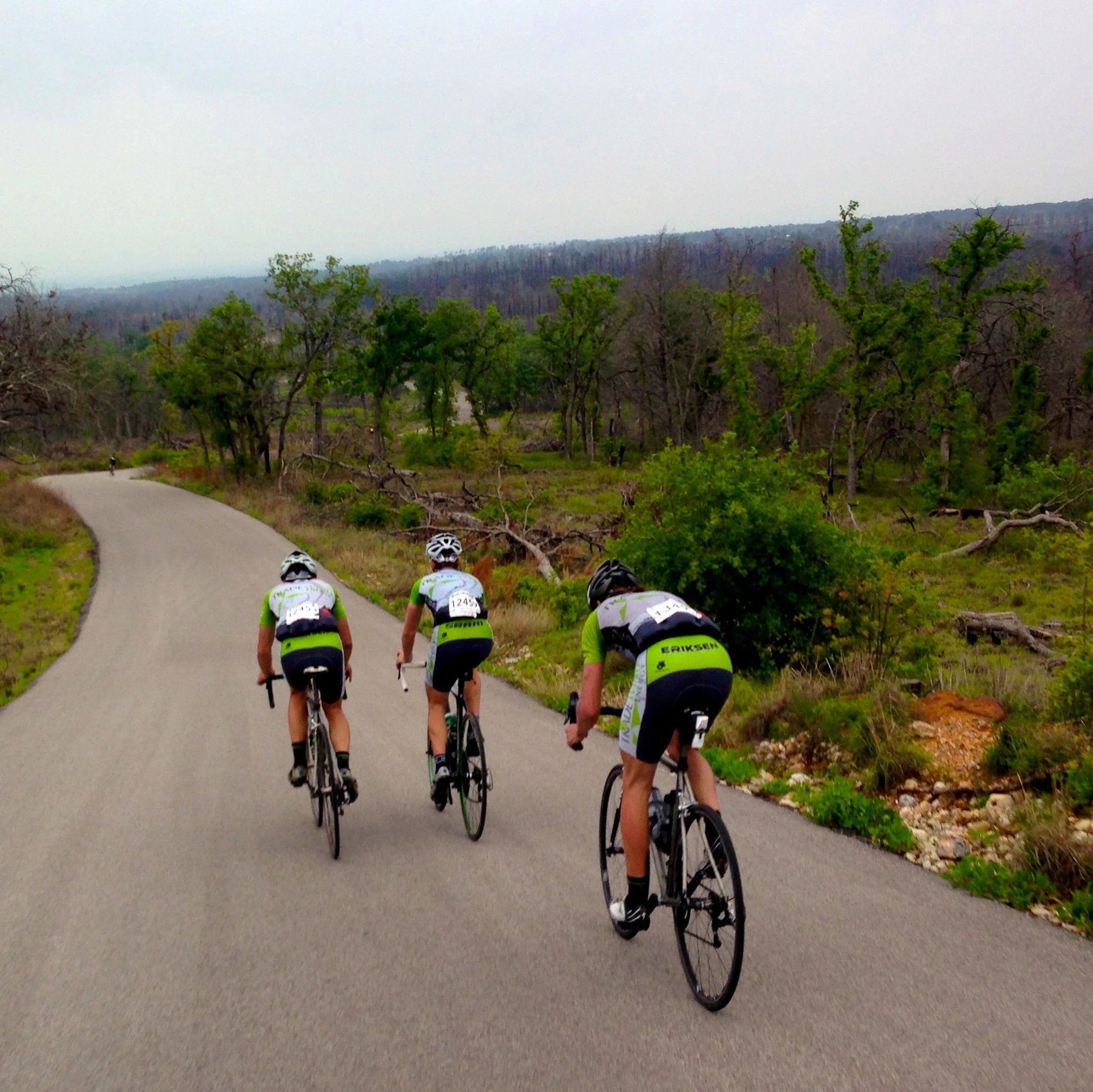 The road did clear a few times and we saw some pretty great terrain.