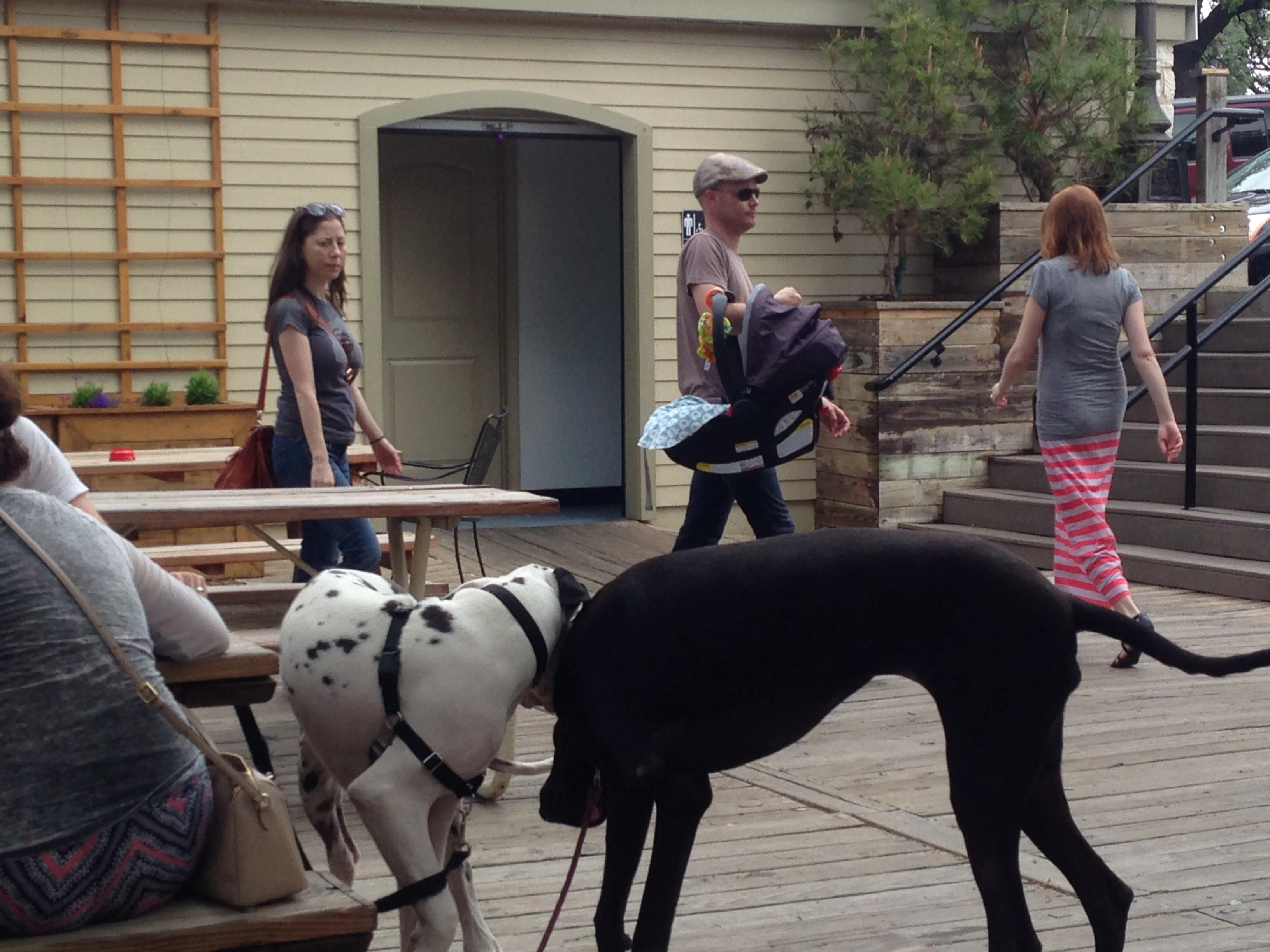 I stopped at Mozart&rsquo;s coffee before I headed out again. This guys were on the porch playing.