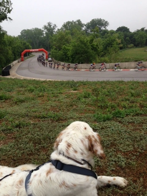 The racing was just as hard as you wanted to make it. Super hard in the wind, pretty easy following.