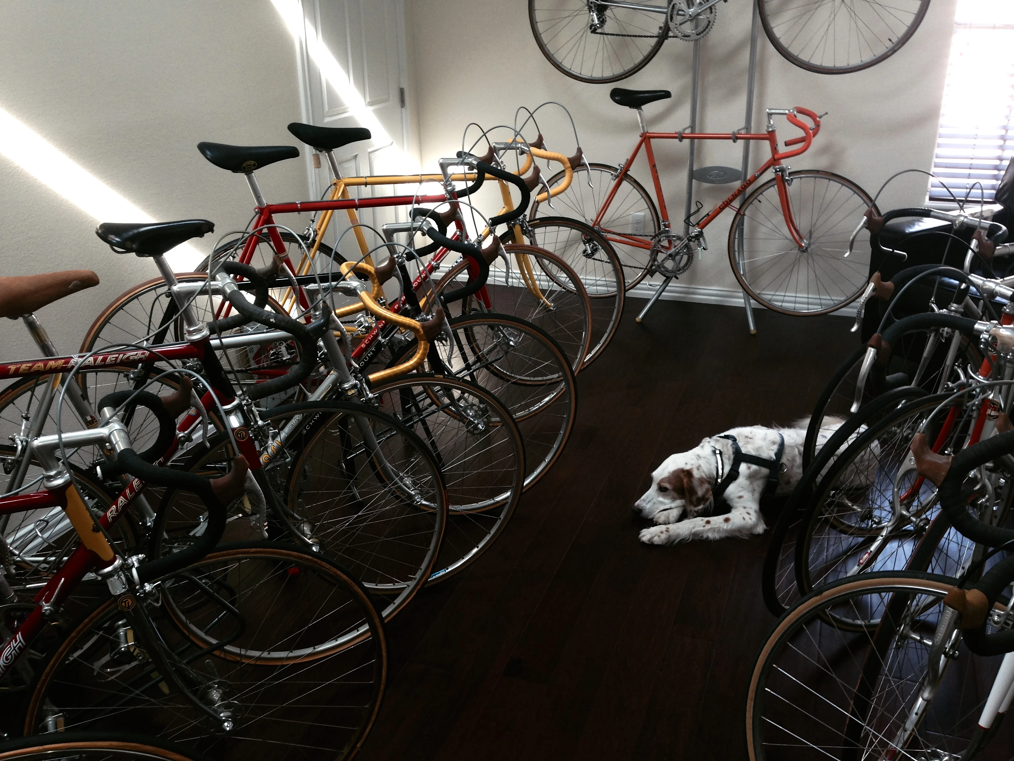 Bromont gets a little bored always talking bikes. He&rsquo;s more into birds, rabbits, woods, etc.