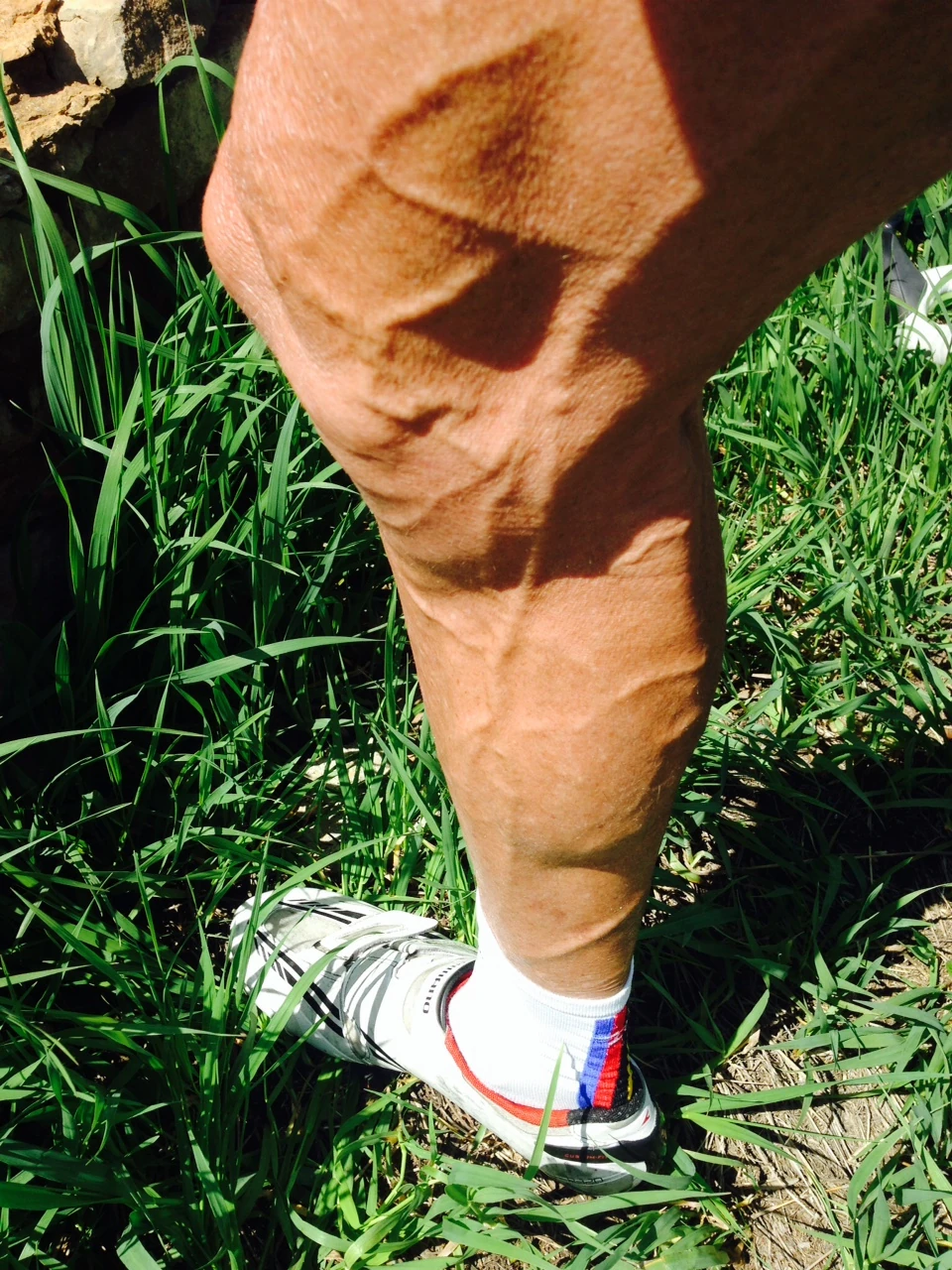 I&rsquo;m pretty skinny right now. The veins seemed to be coming out with the heat. Kind of creepy looking.