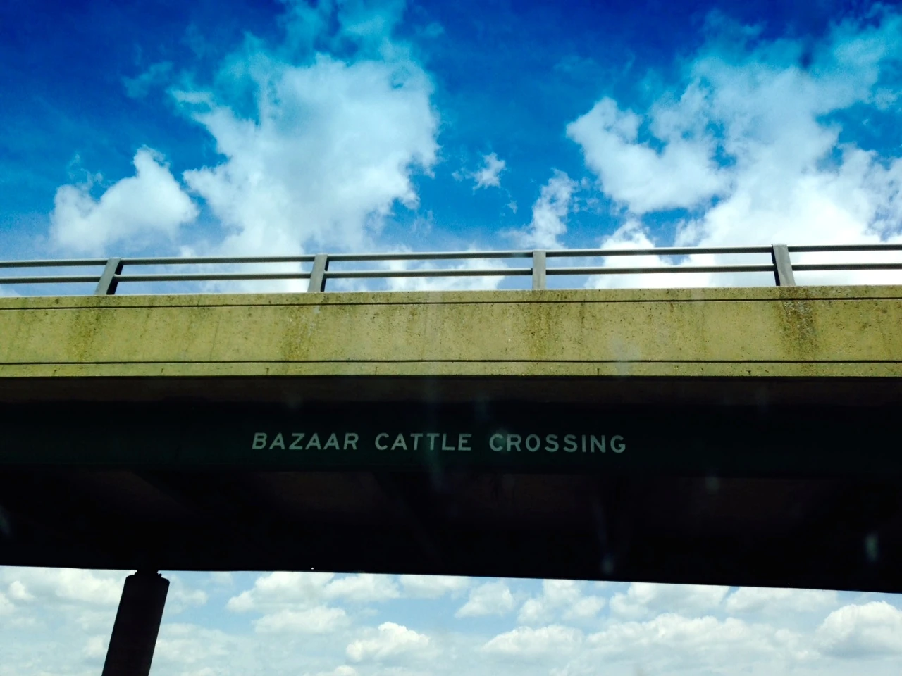 I stopped at the cattle pens to let Bromont romp around a little.