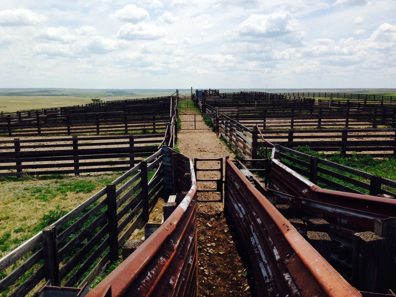 I&rsquo;ve never stopped here before. It is where they load up the cattle after grazing all spring and summer.