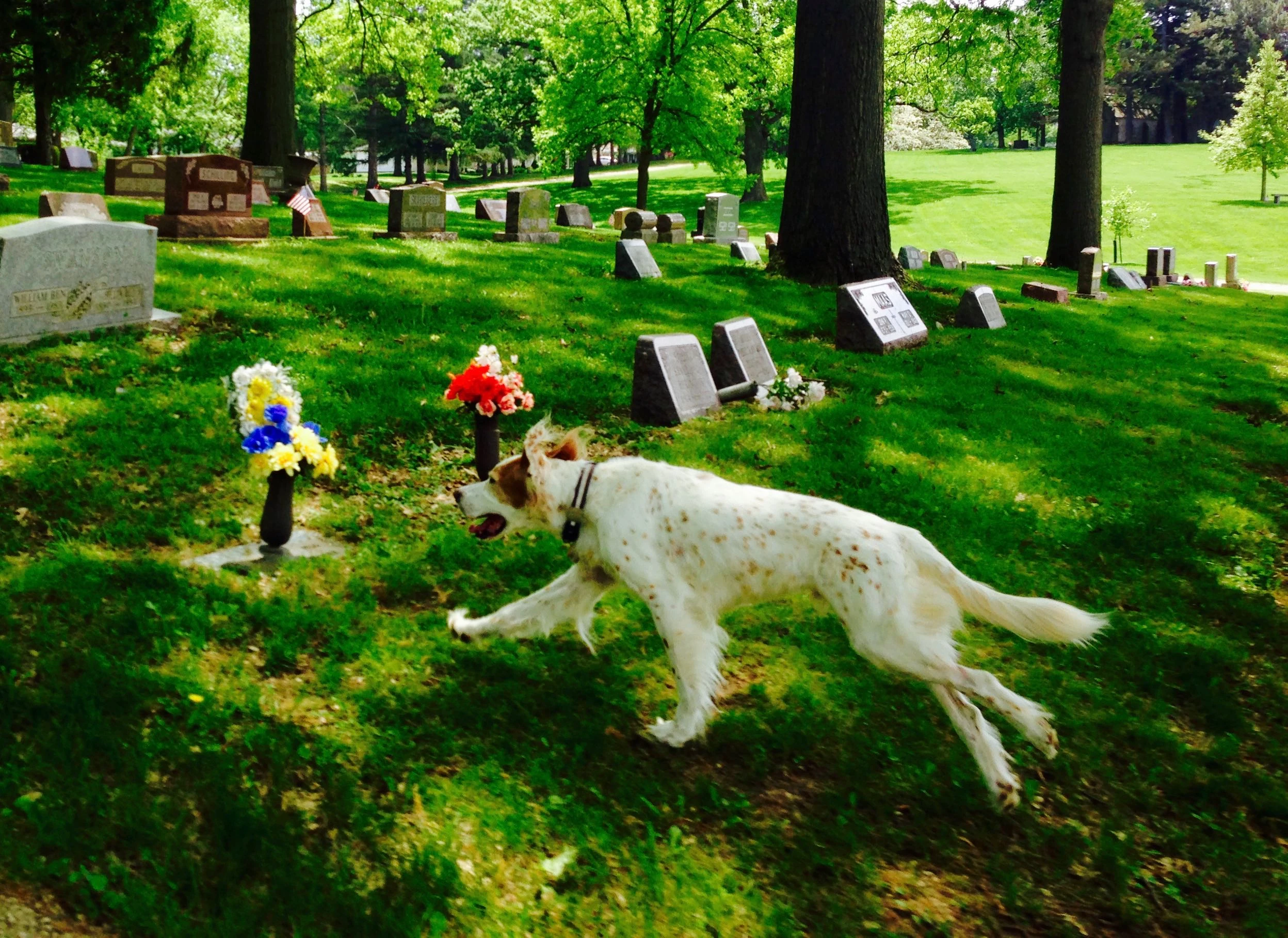 Bromont loved to run more than just about anything else.