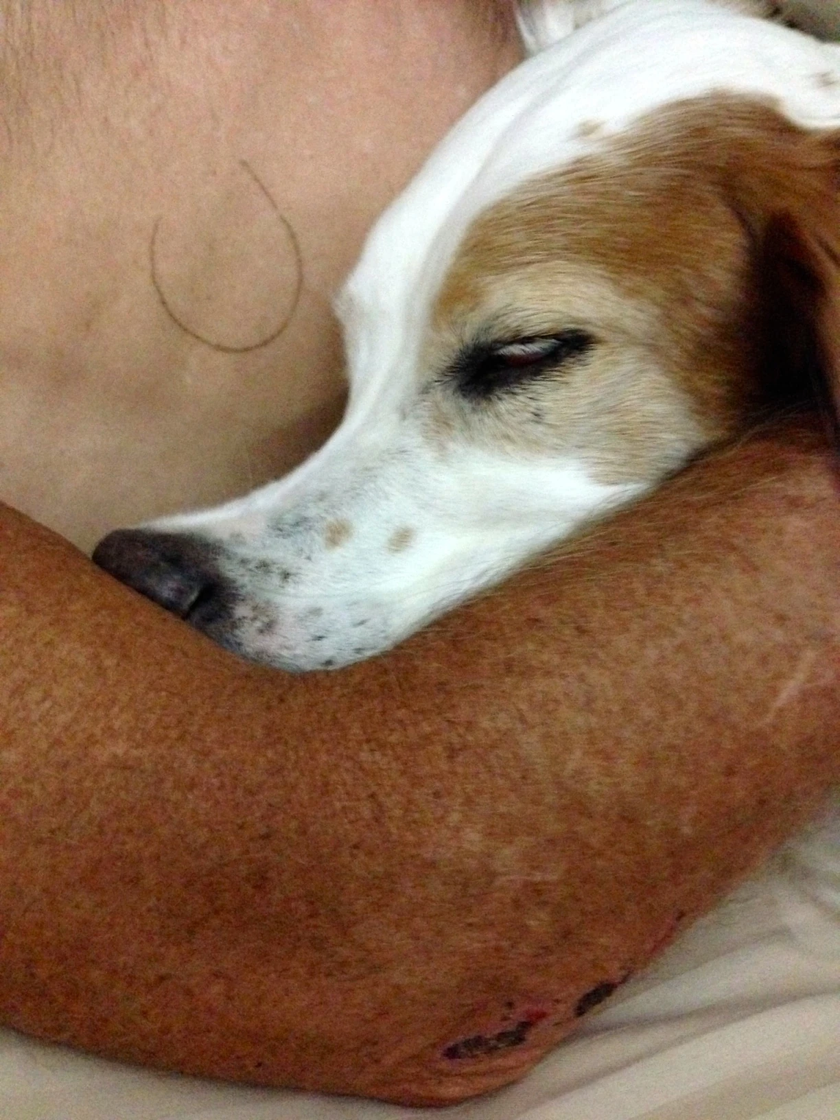 Bromont has been pretty clingy the last week. He&rsquo;s been a very good friend.