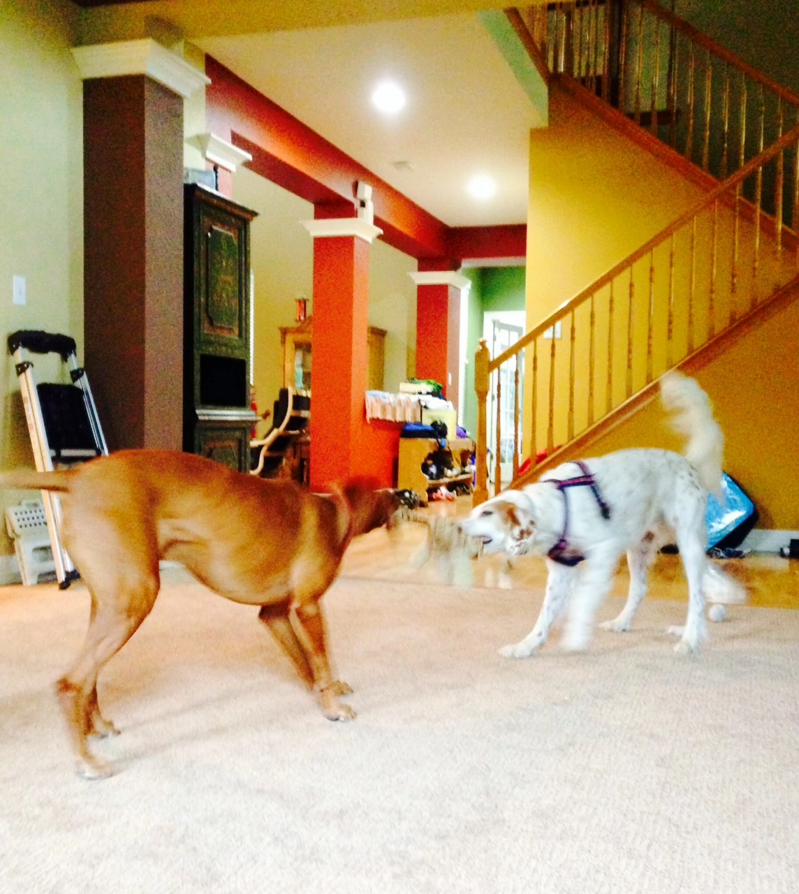 Bromont and Jack love each other.