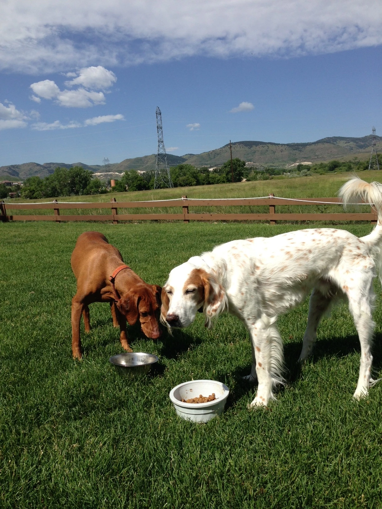 Having his birthday breakfast with Jack this morning.