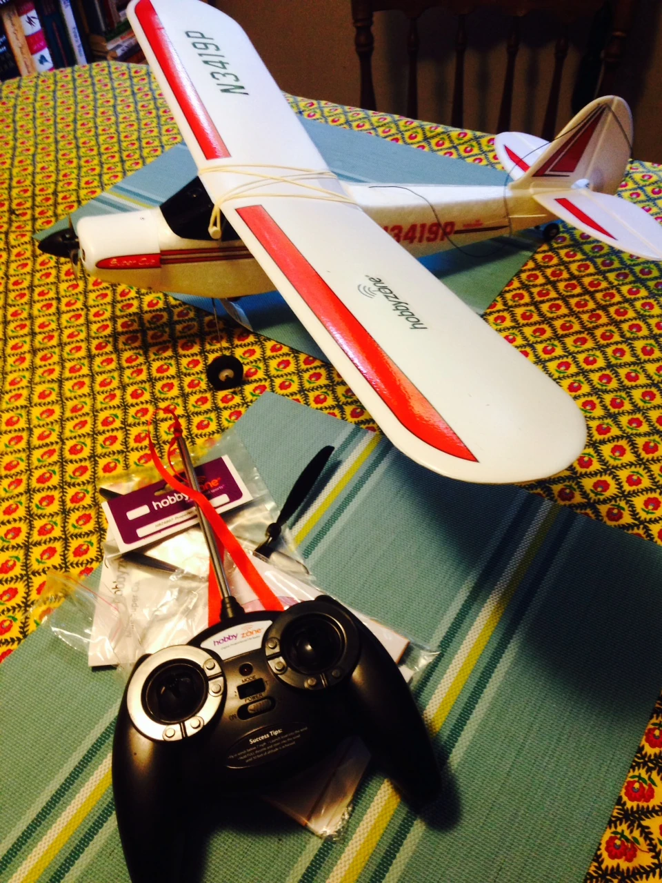 Just a styrofoam plane, but it was super fun flying.