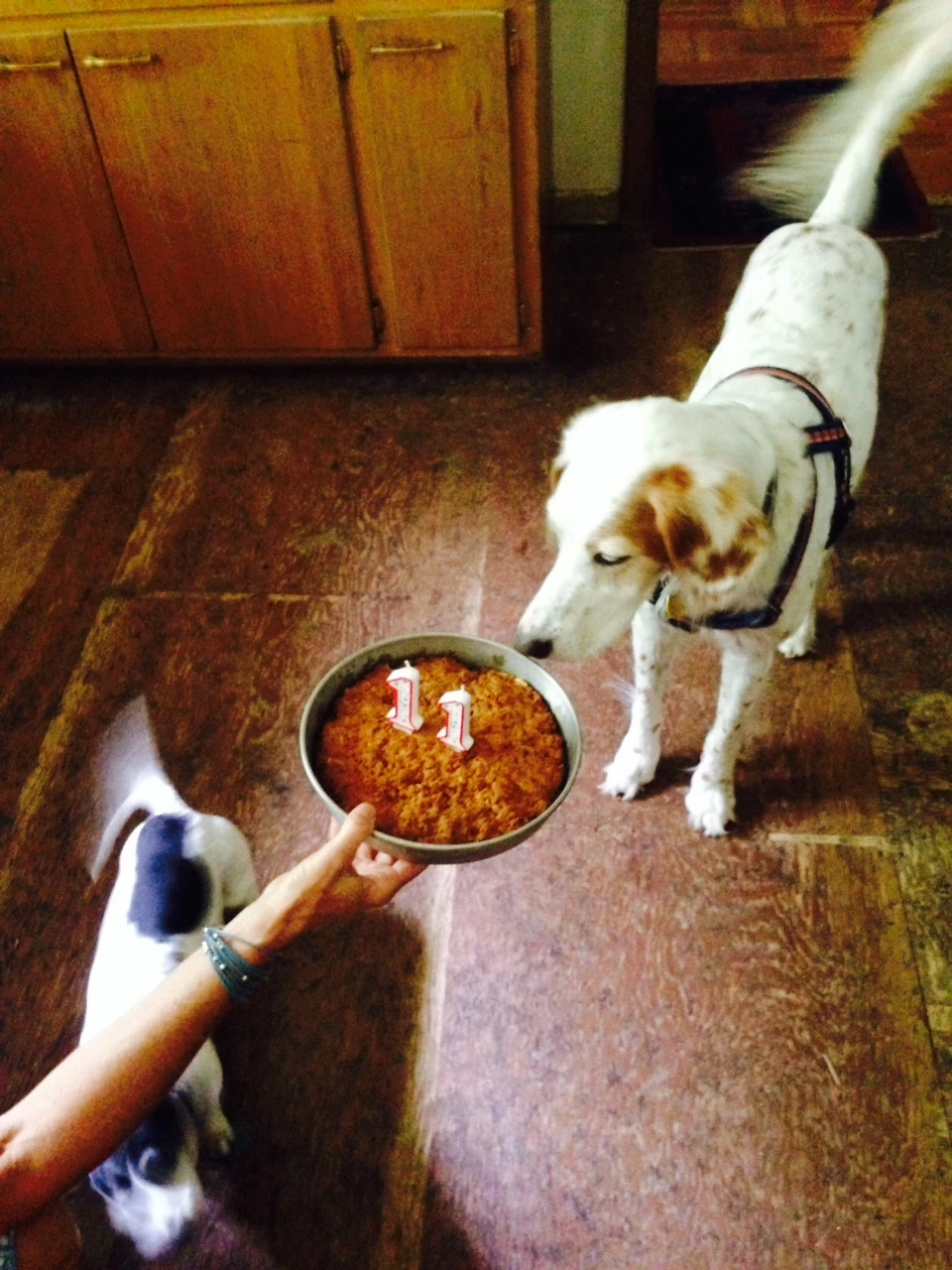 Bromont&rsquo;s birthday cake.