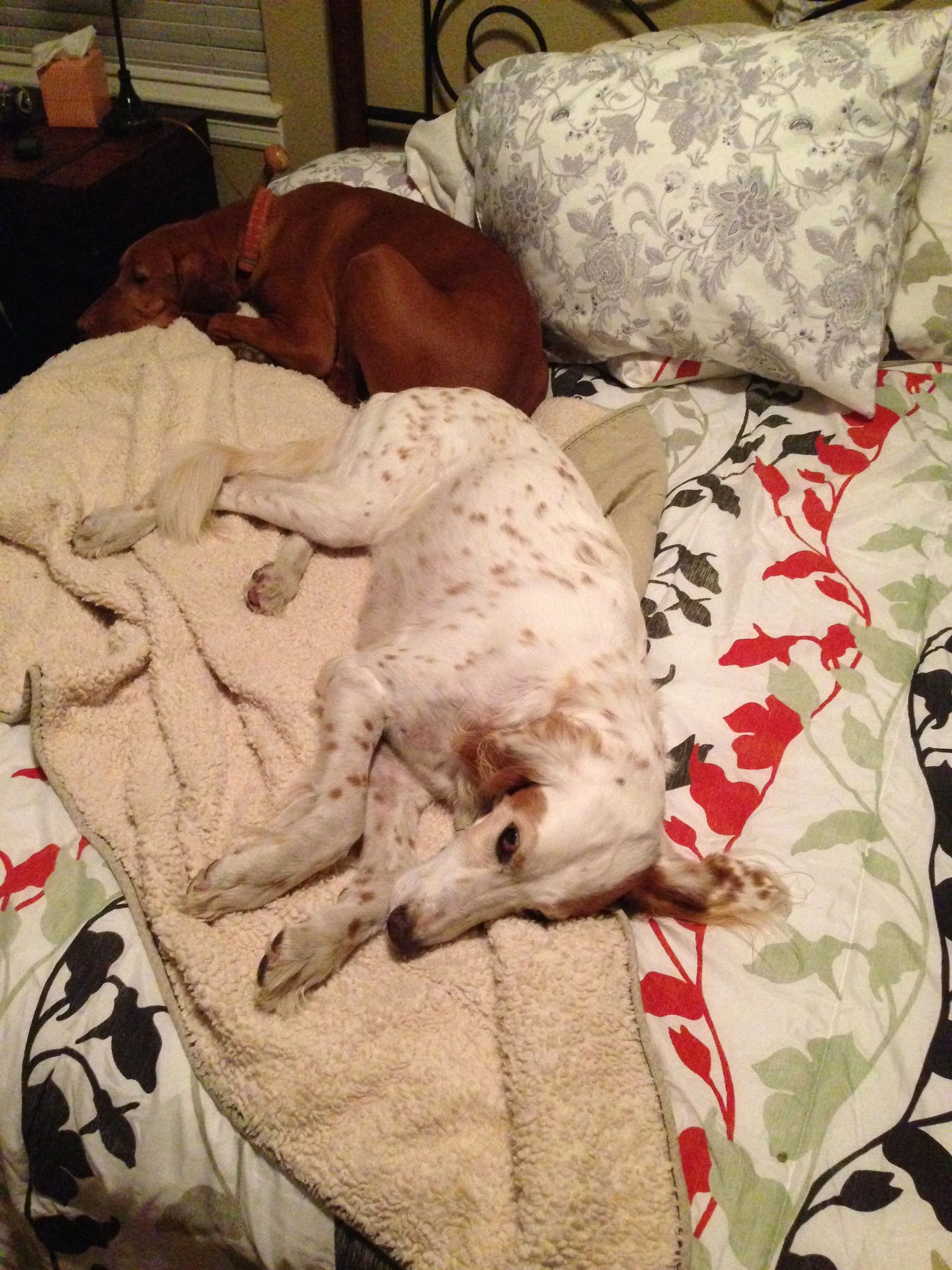 They move around a lot.