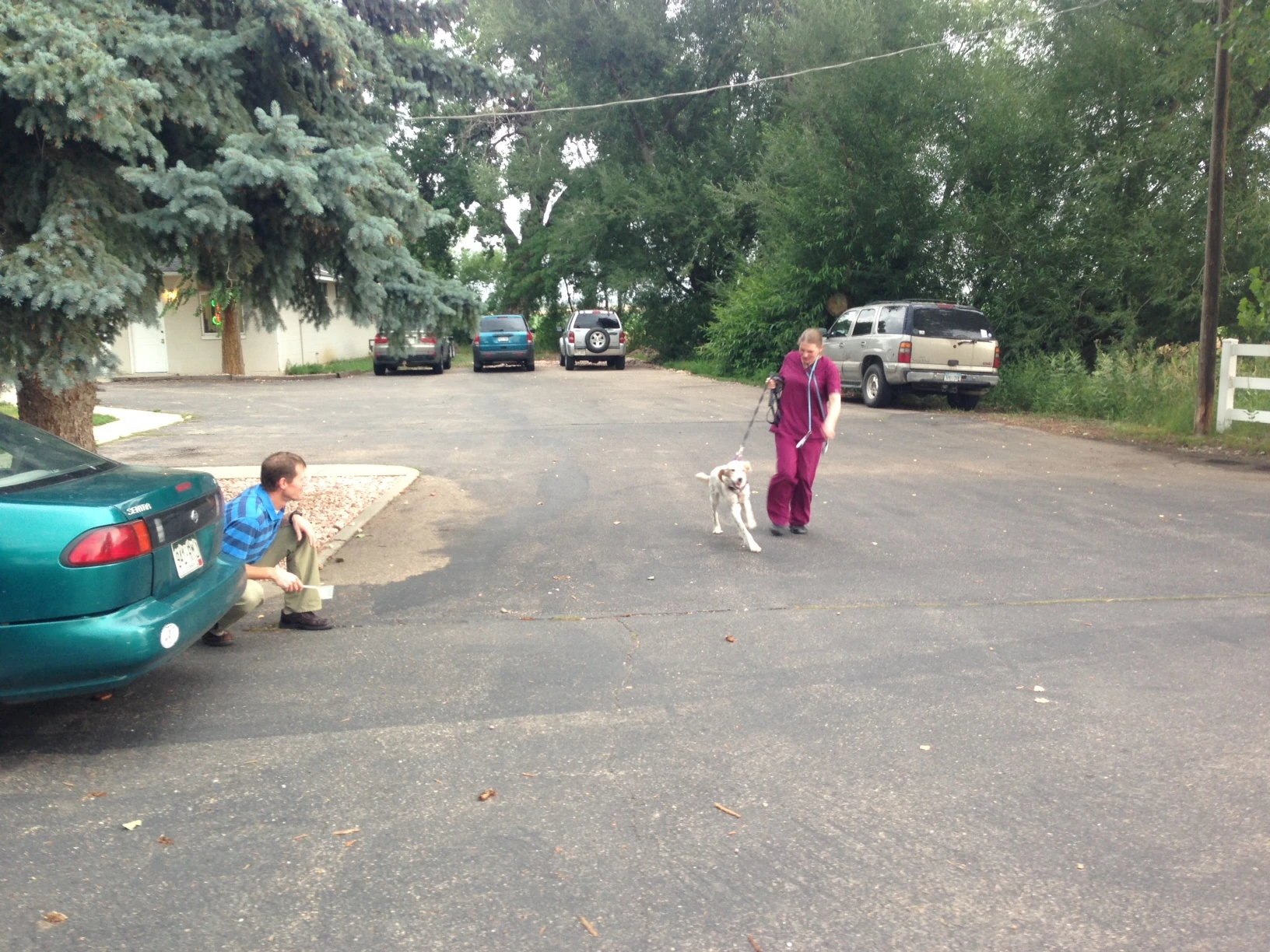 Trent took Bromont outside and watched his gait. 