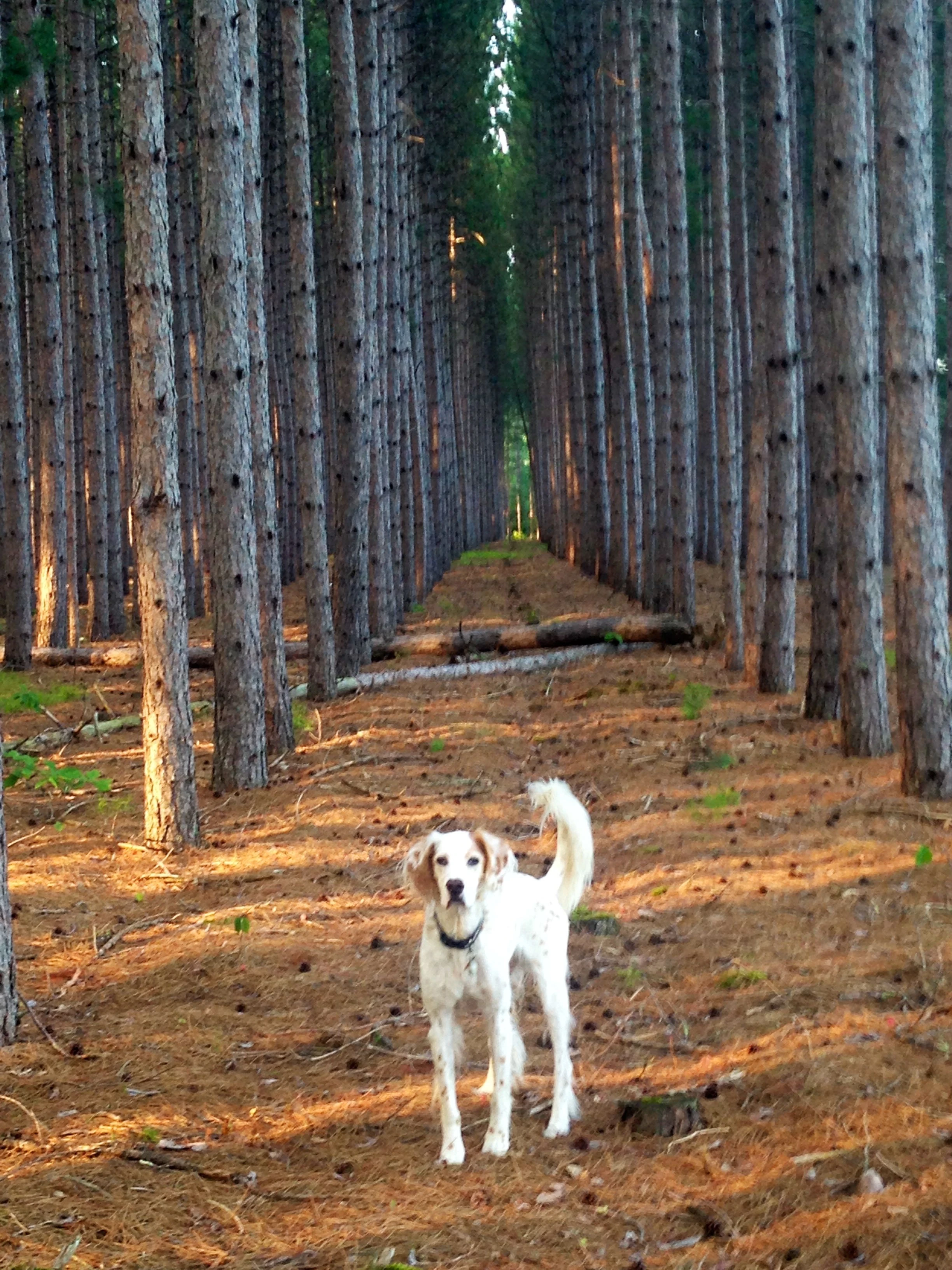 He loves Northern Wisconsin.