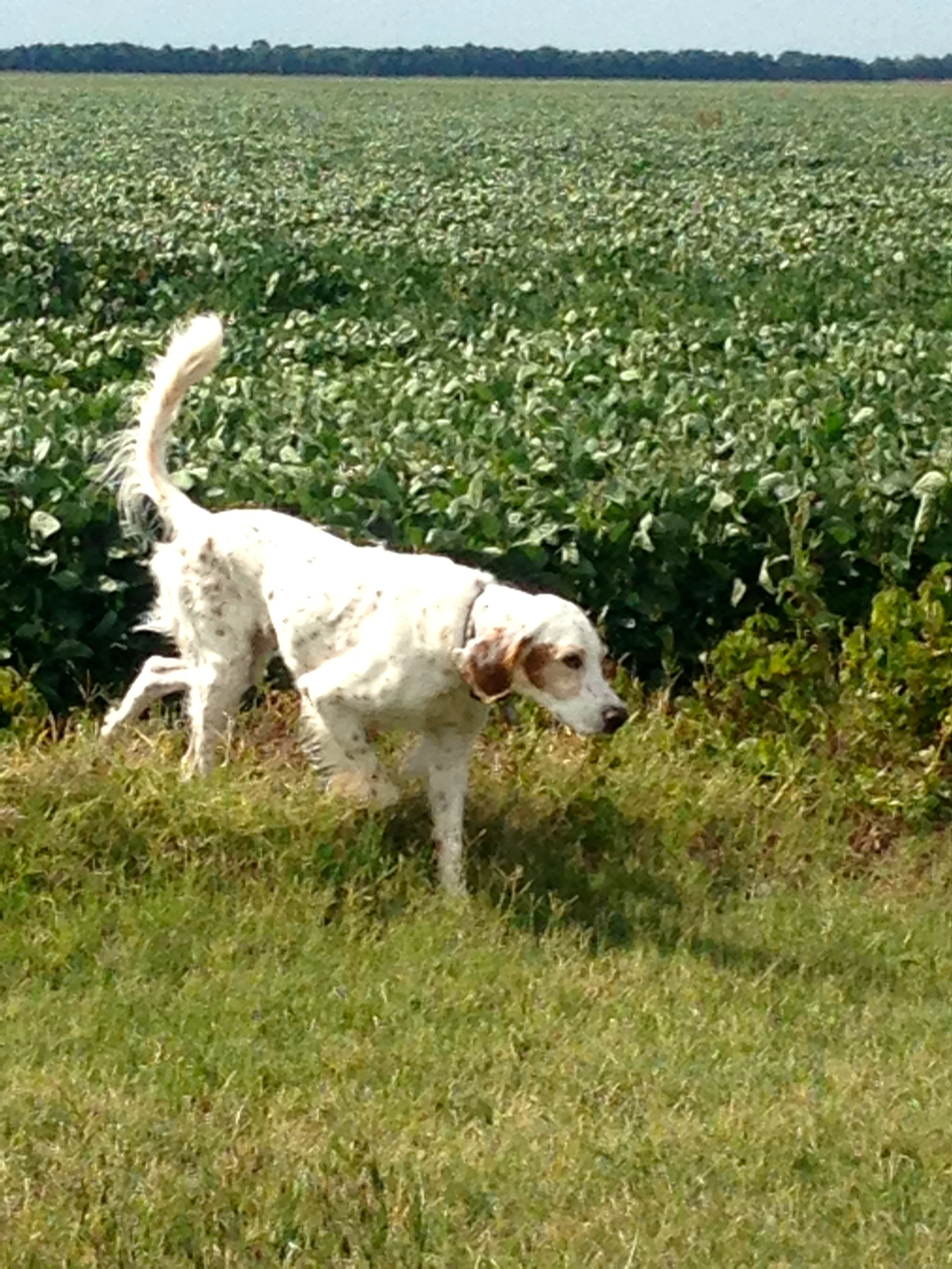 Out in Western Kansas for a break.
