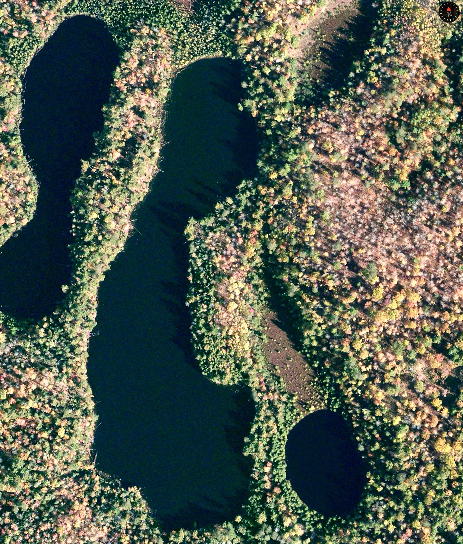 I hope to go for a swim tonight here.