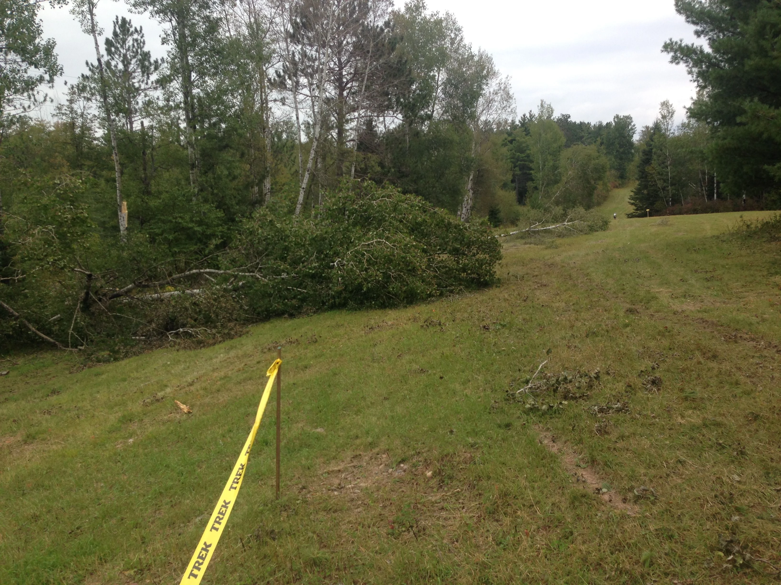 Rosie&rsquo;s field. The damage is apparent about everywhere.