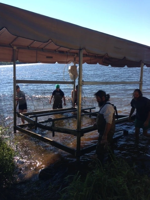 A bunch of us pulling a boat lift out of a lake. I was in my underwear.