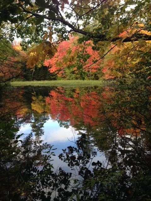 Fall is wonderful up here.