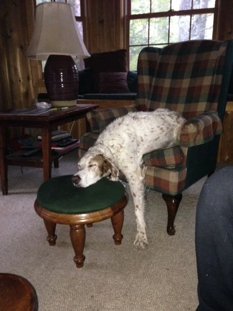 Bromont is completely done when he comes back from one of his romps in the woods.