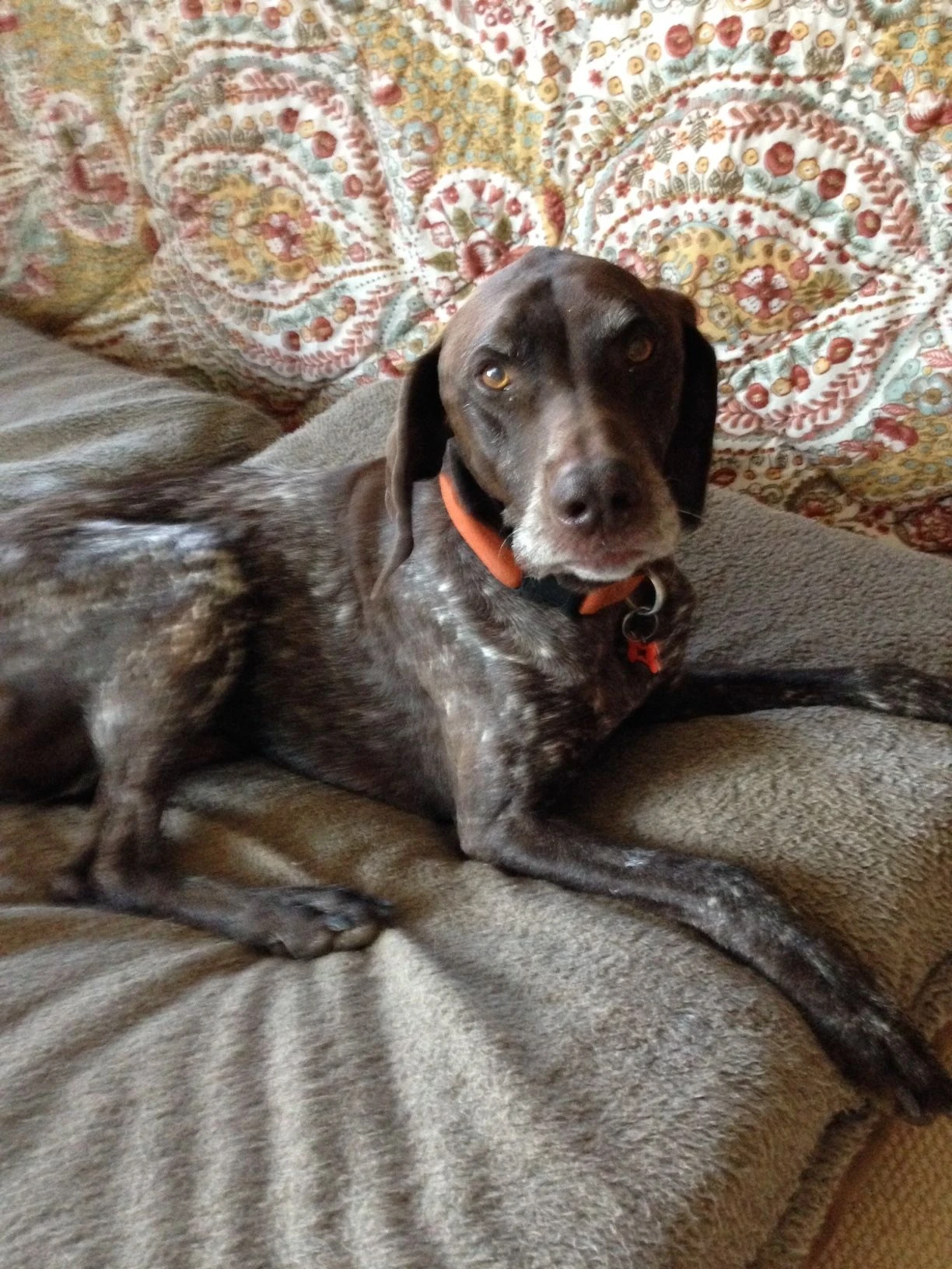 Hunter above ground.