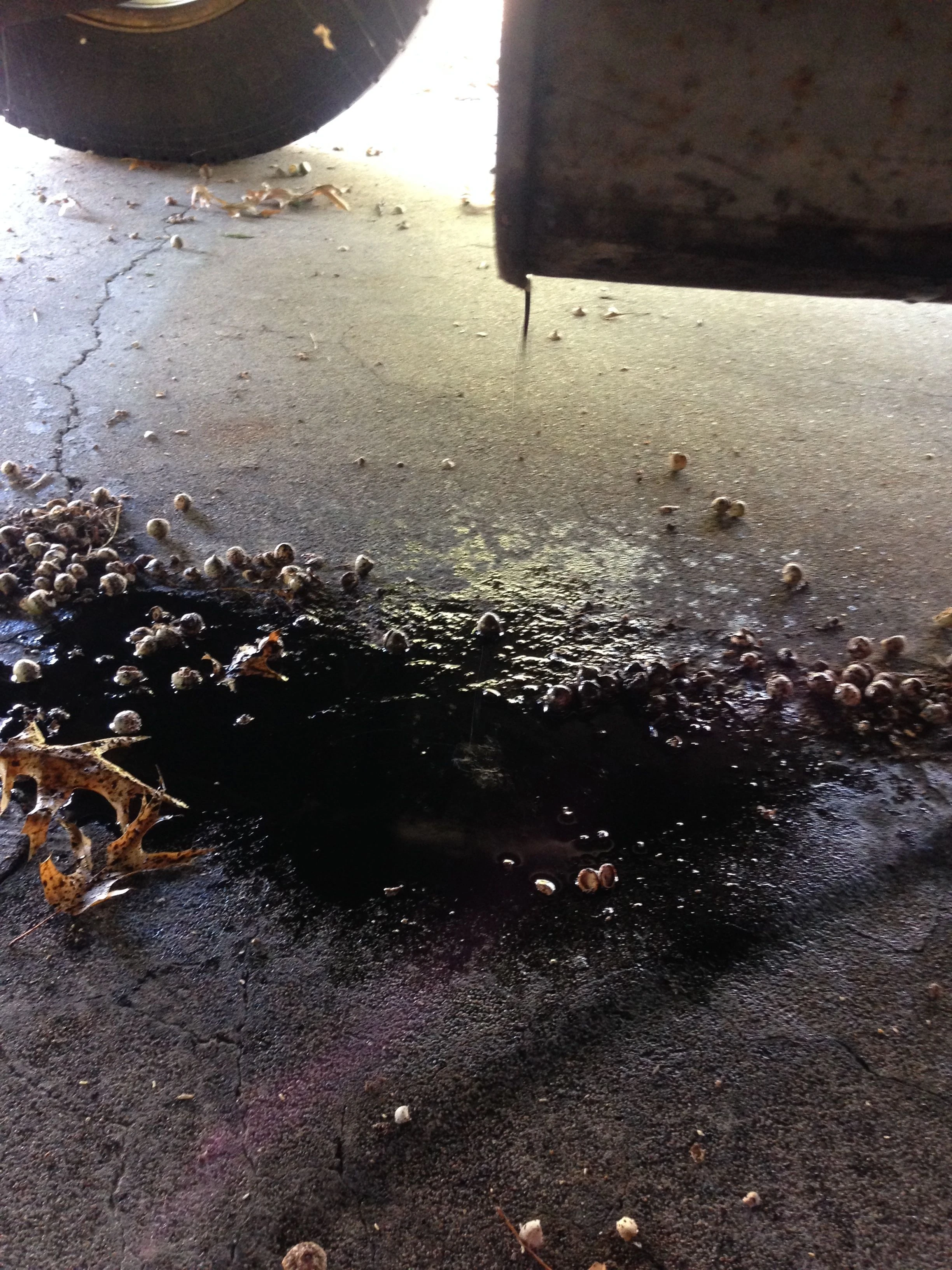 Water pouring out my exhaust yesterday.