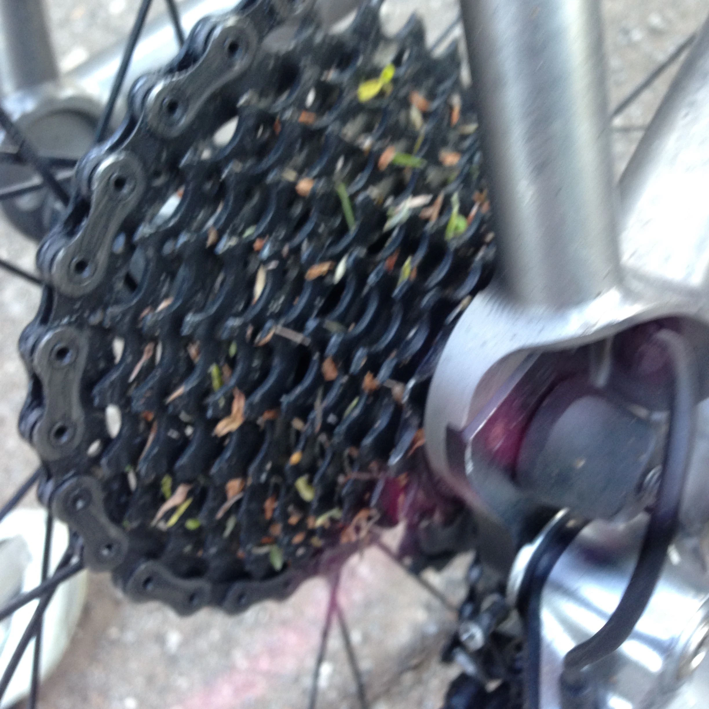 My cassette had a bunch of grass seed in it.