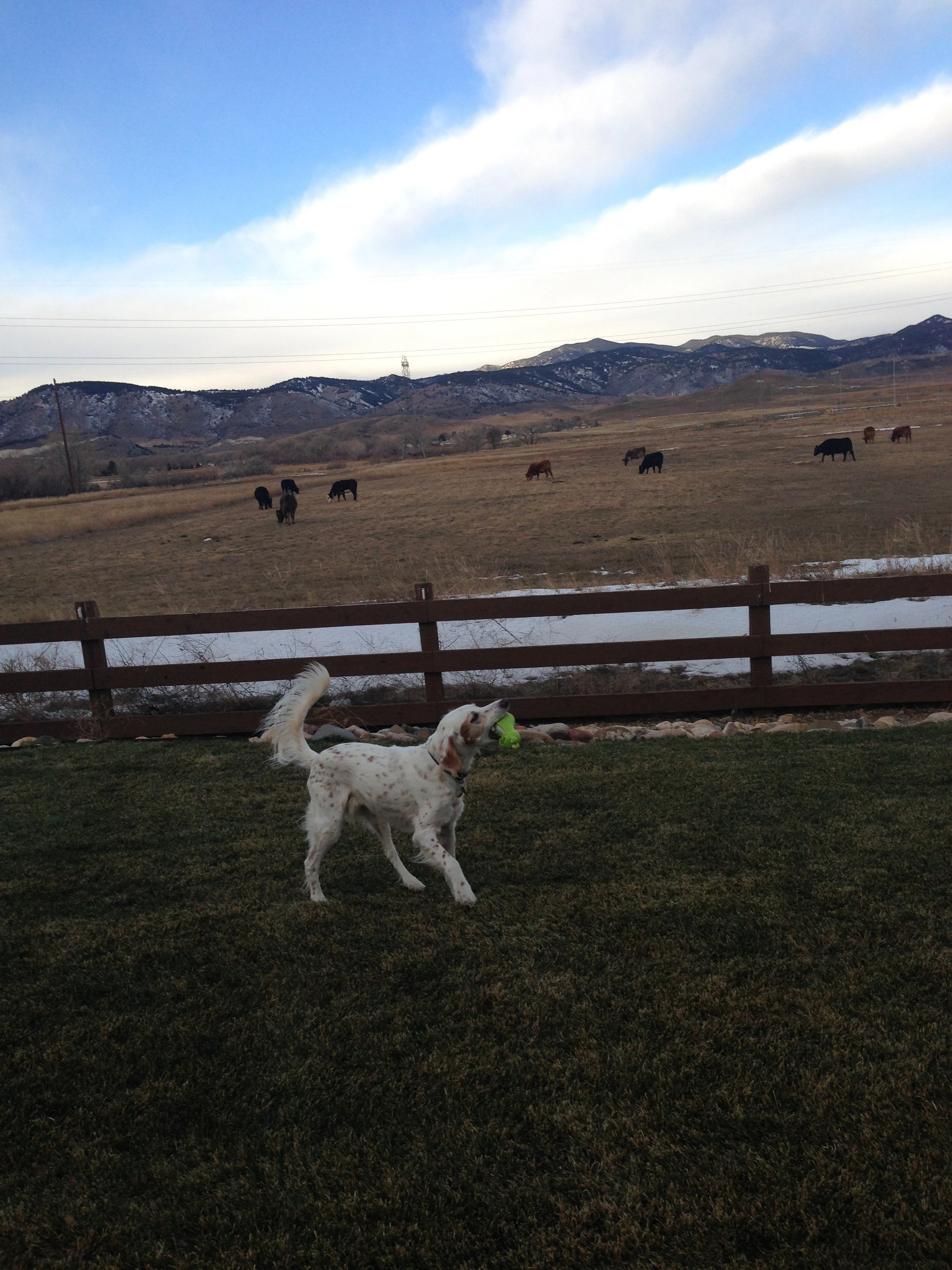 I&rsquo;m gonna miss these views.