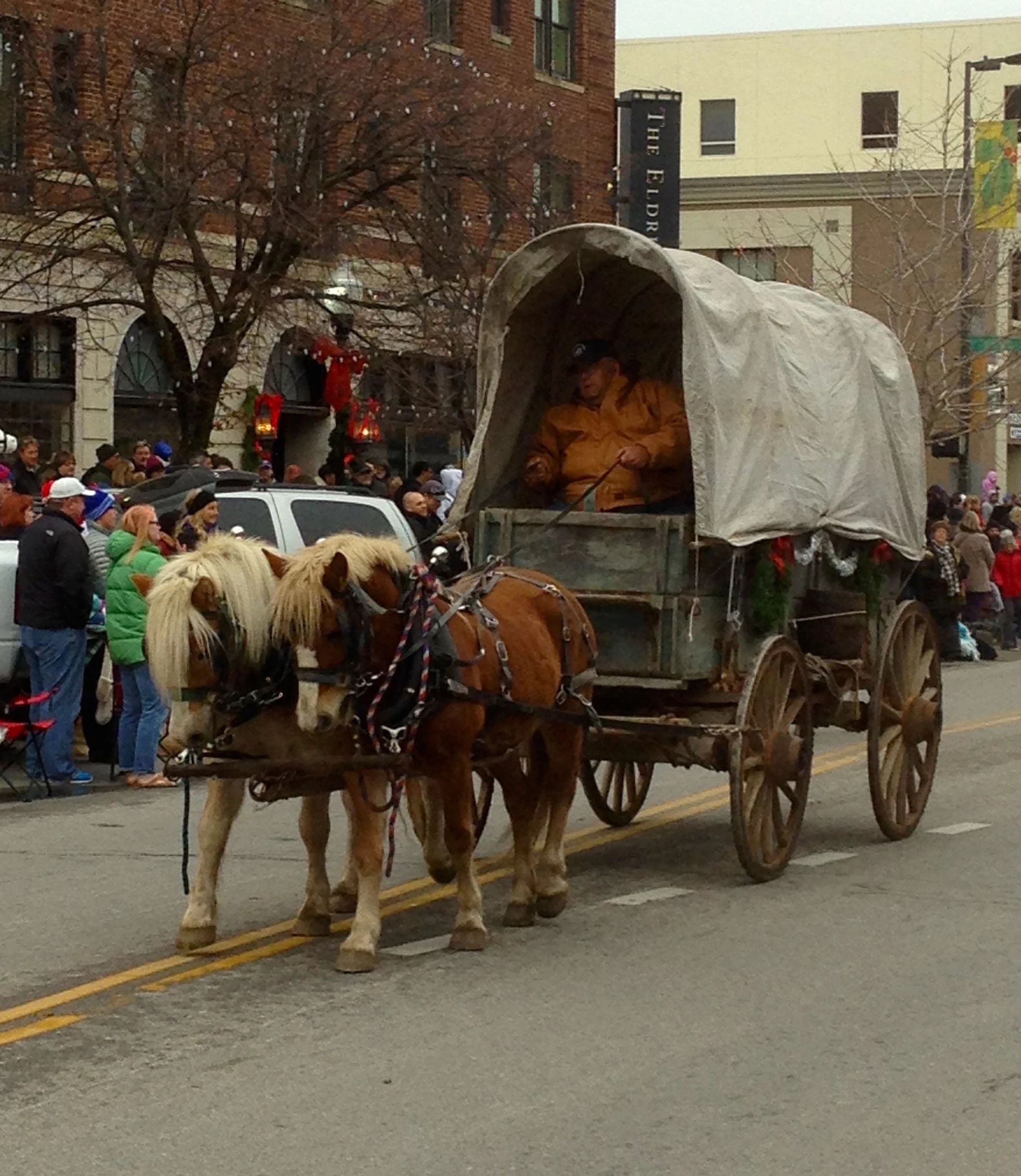 These little horses seemed too small to be pulling this big man and wagon. It is a really nice wagon.
