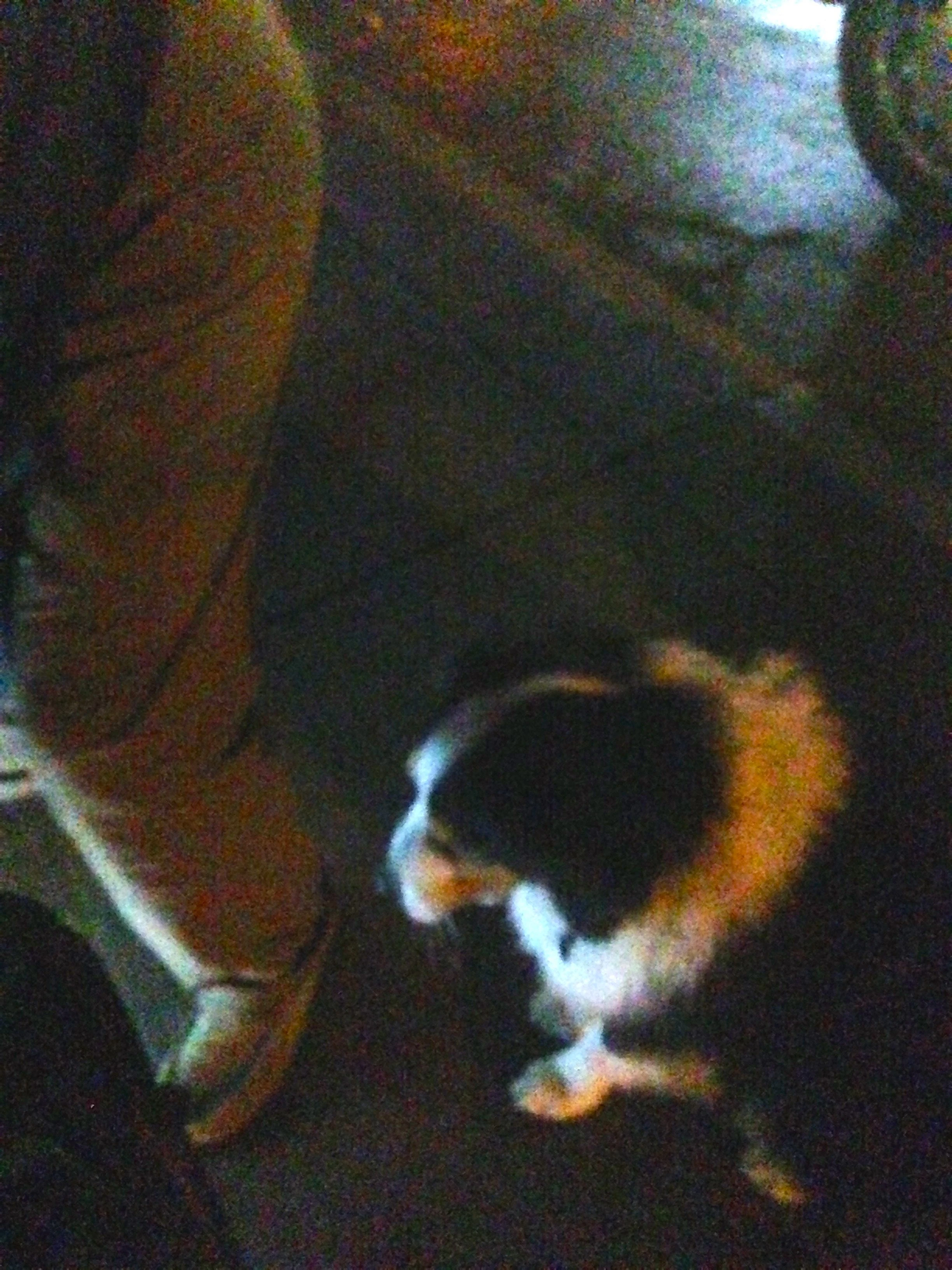 Michael got a new dog, Pete. He&rsquo;s is an Australia shepherd. Very cute, obedient, and loyal.