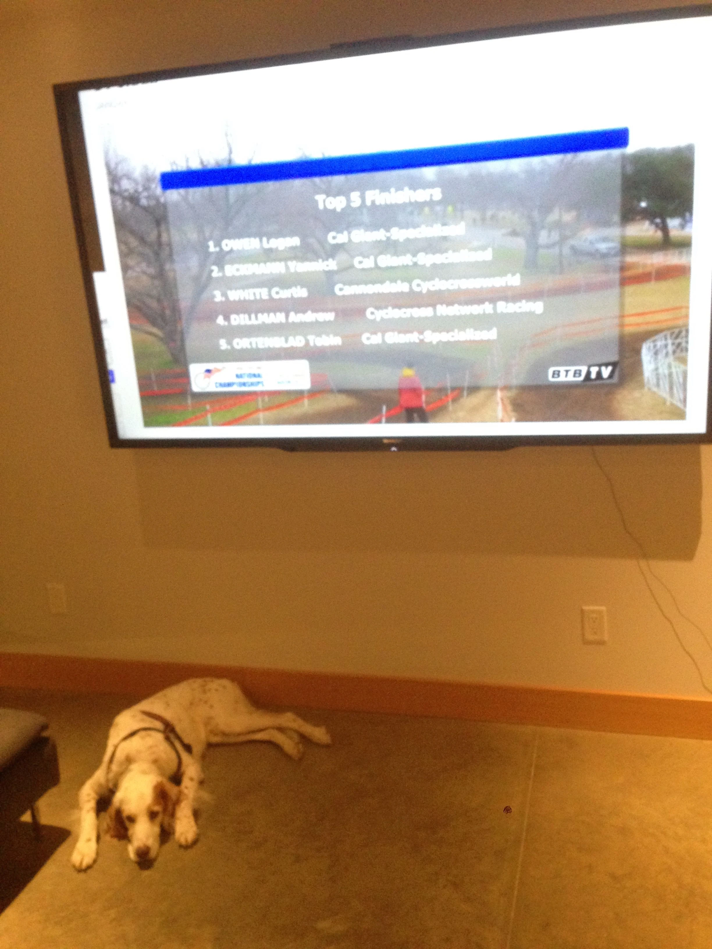 Bromont was uninterested in watching the race. He much prefers seeing it live.